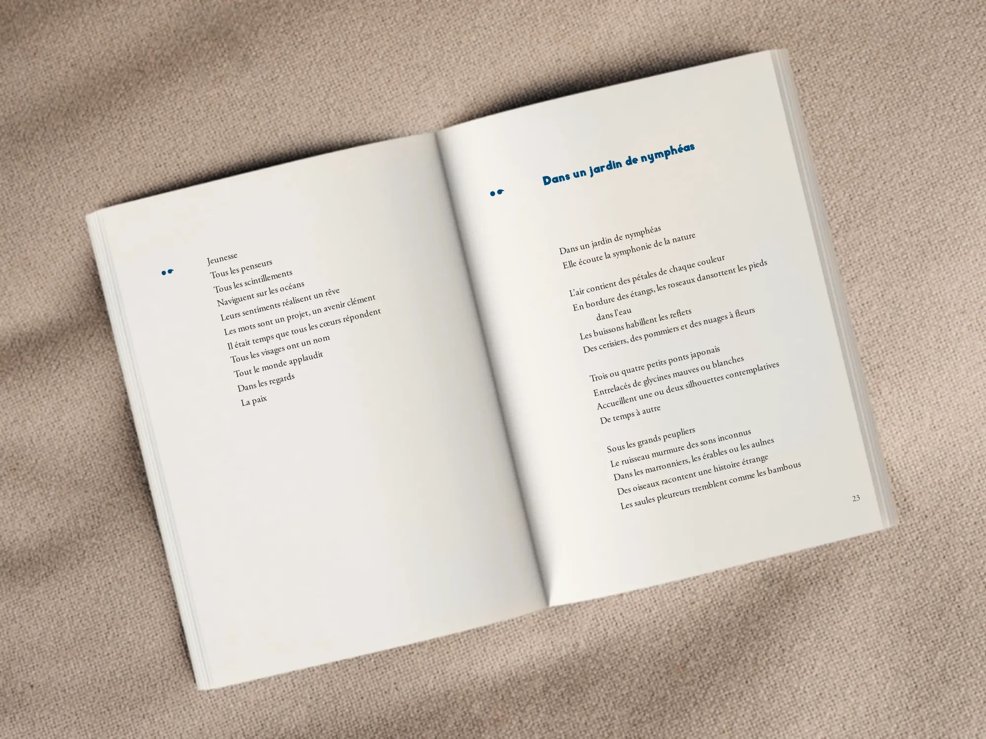 Cover of the book