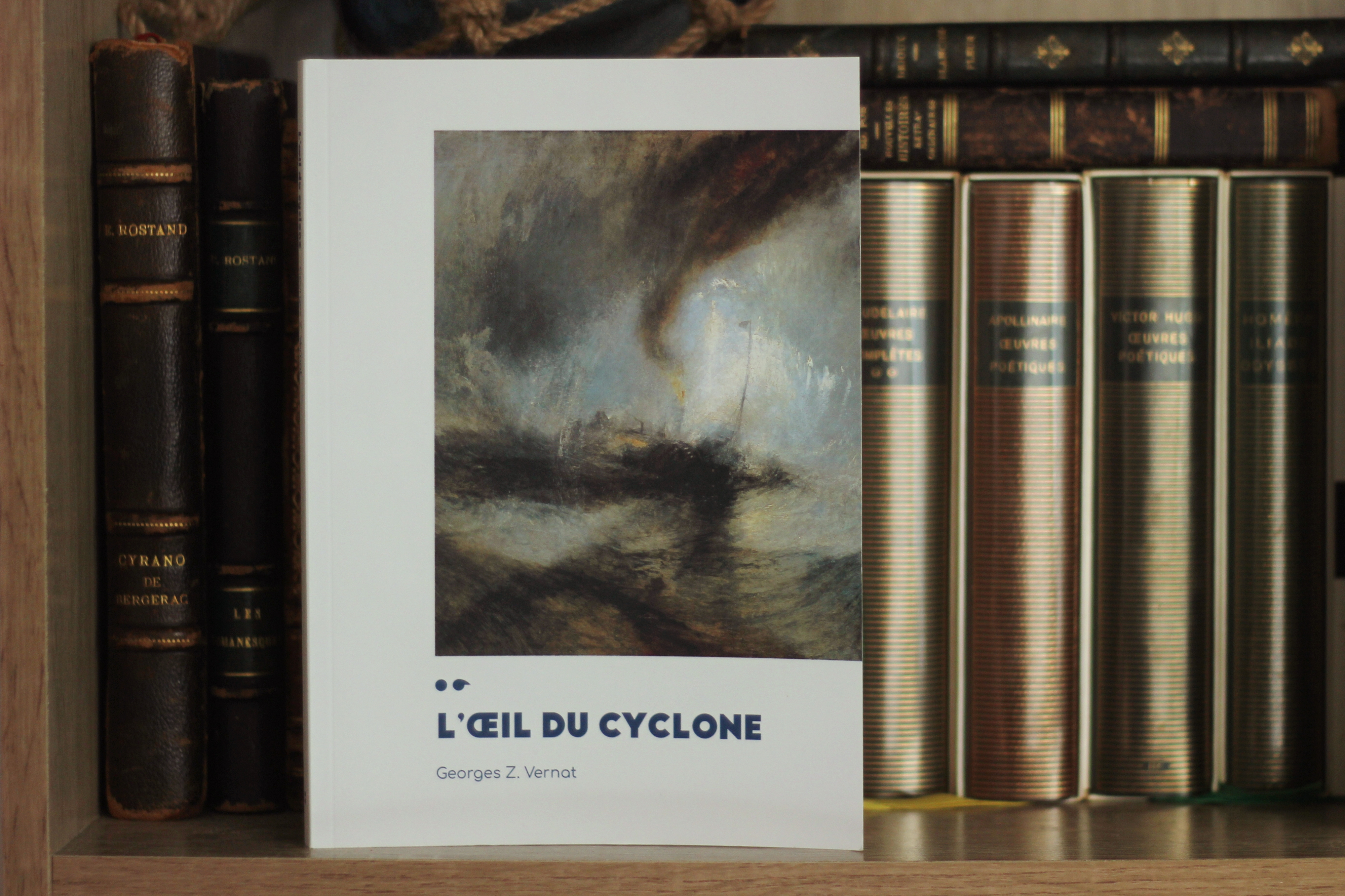 Cover of the book