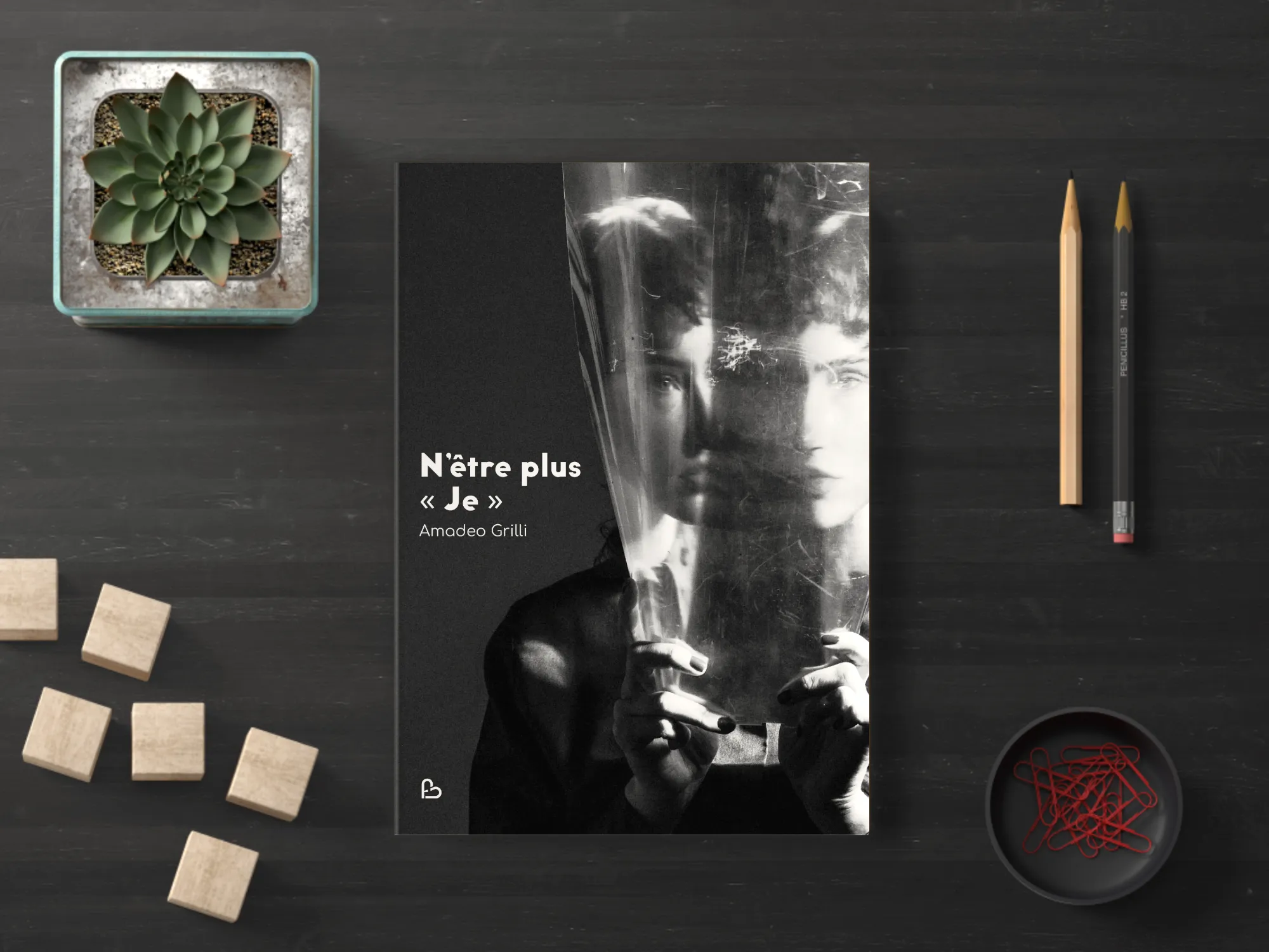 Cover of the book