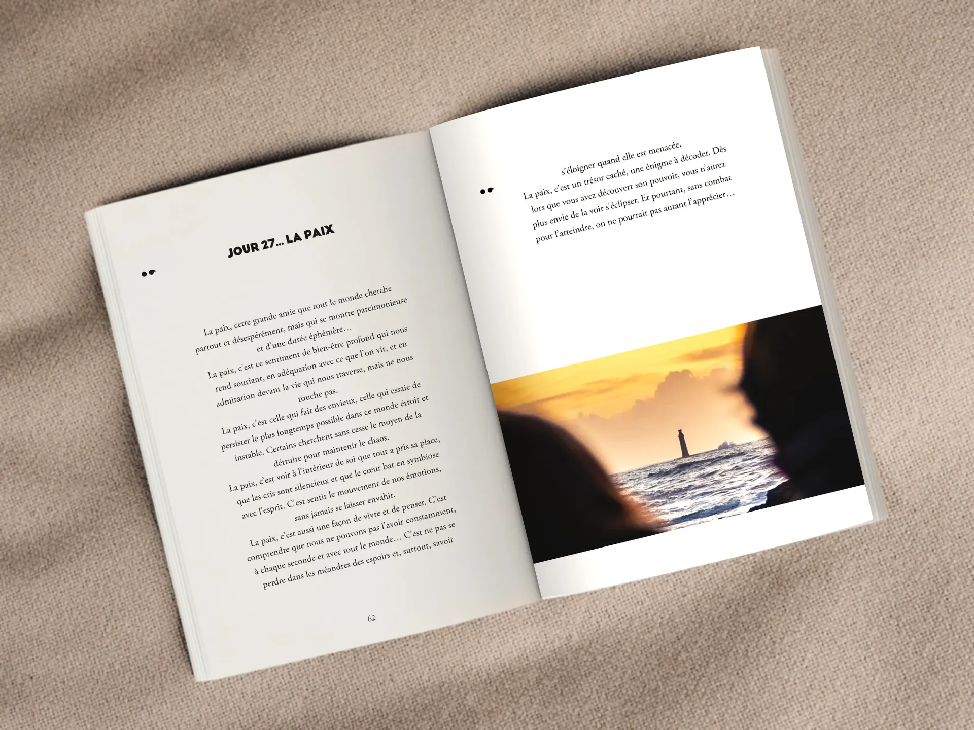 Cover of the book