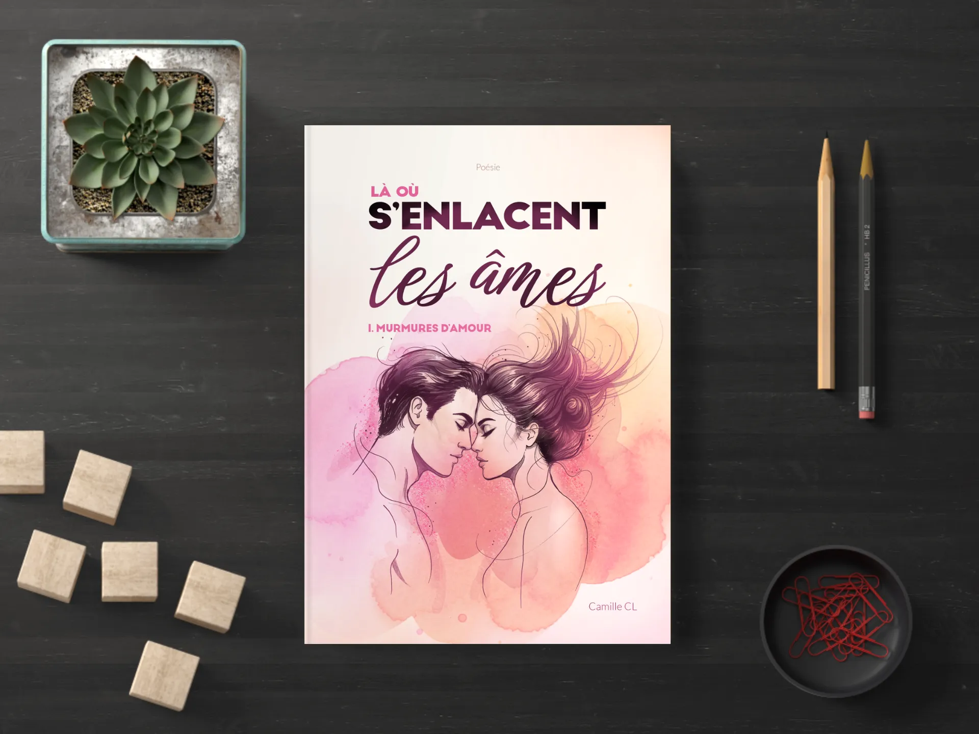 Cover of the book