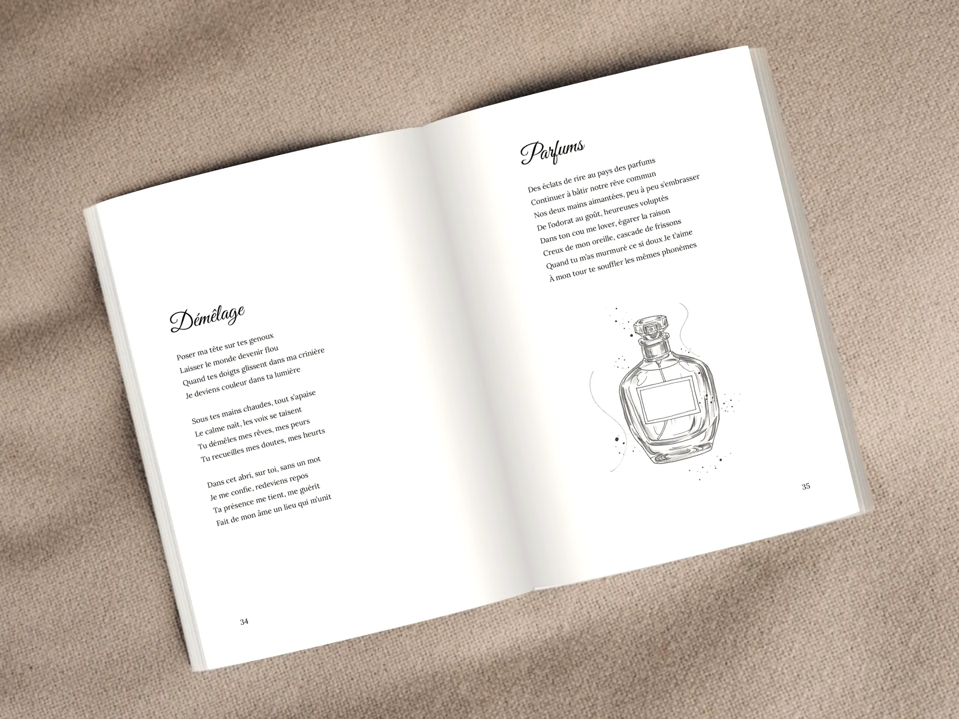 Cover of the book