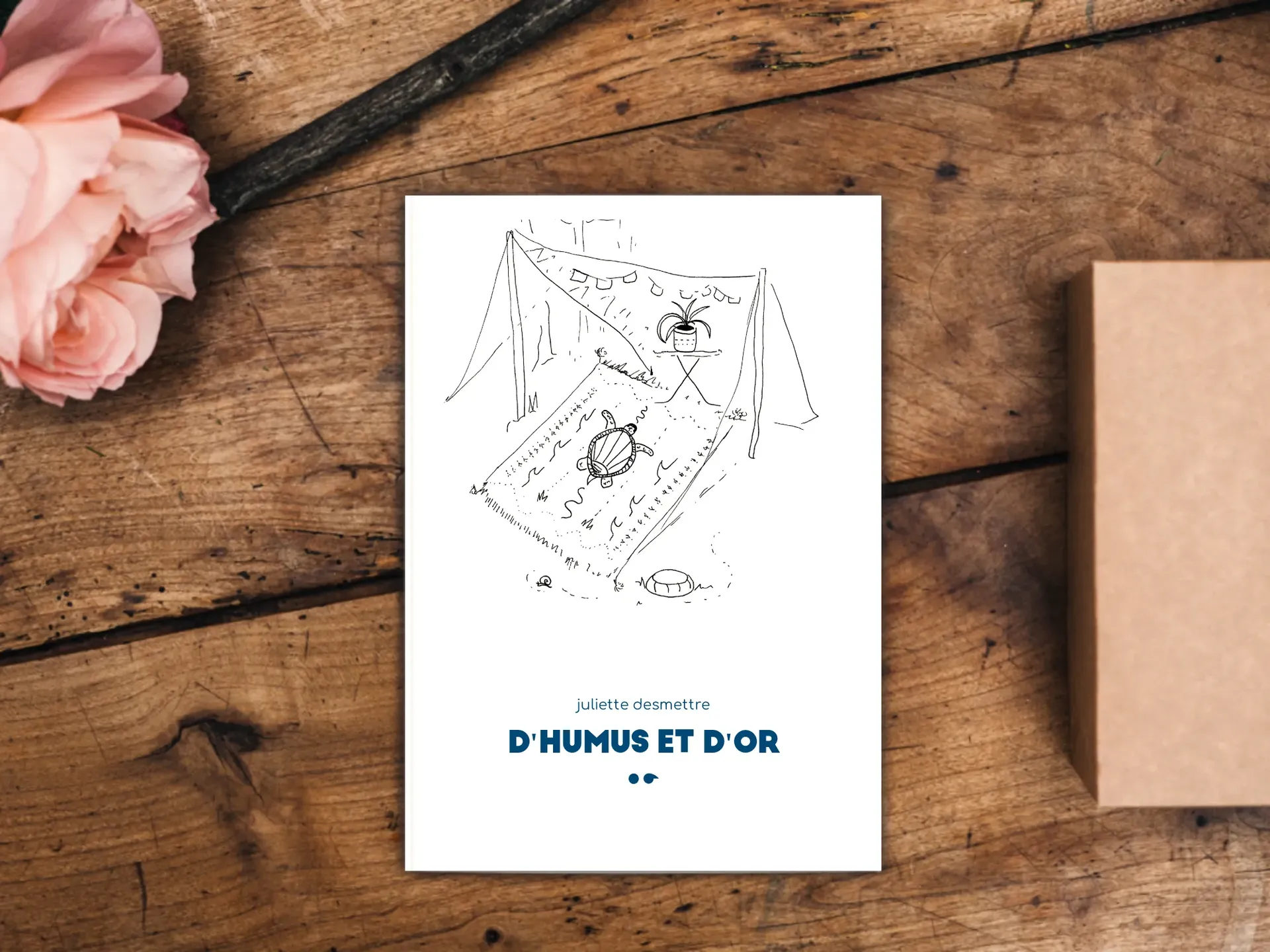 Cover of the book