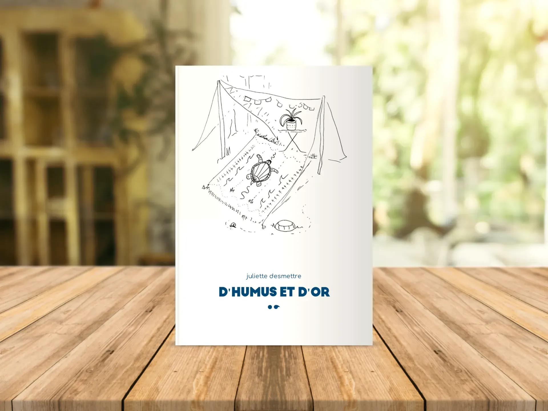 Cover of the book