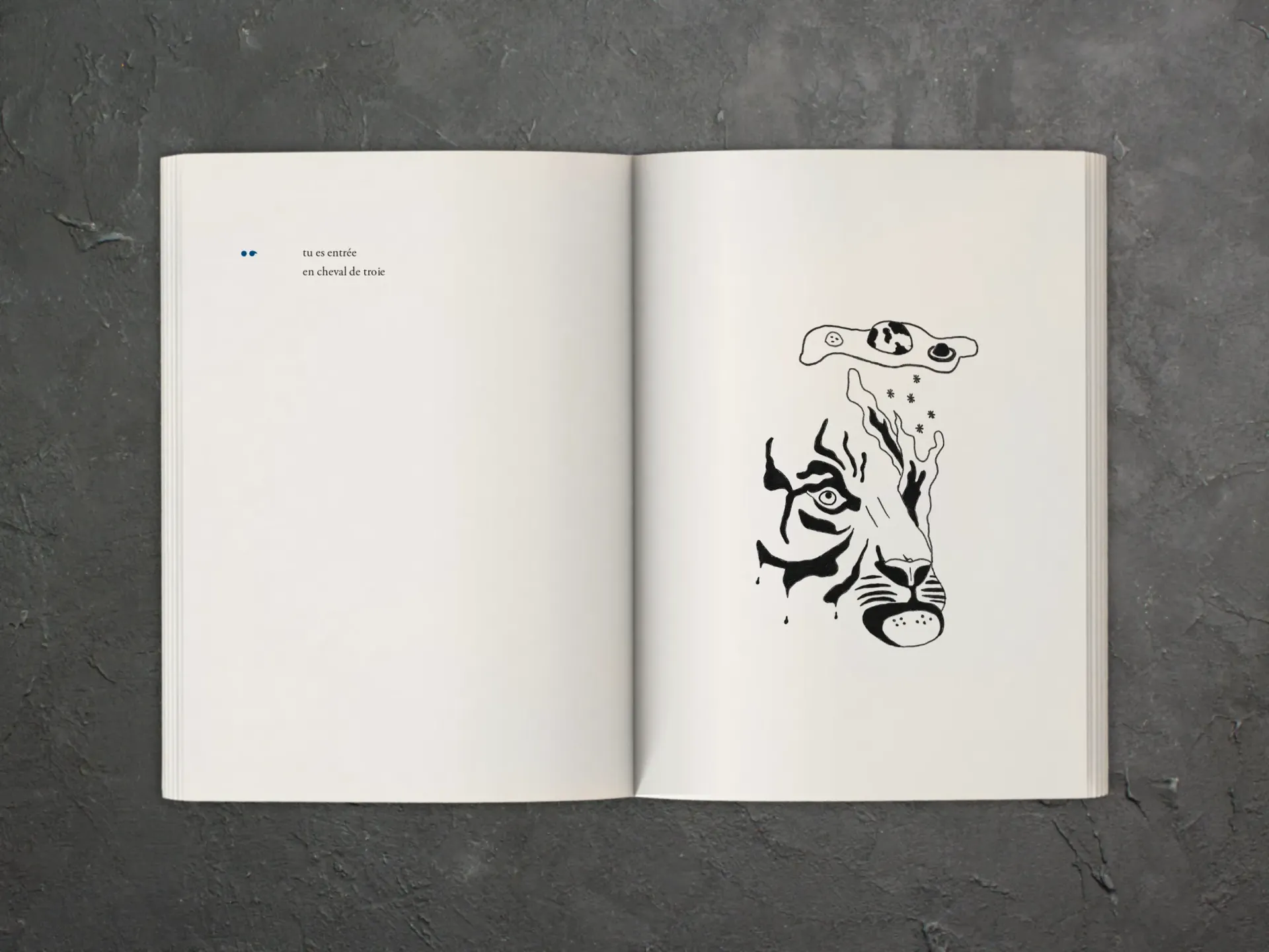 Cover of the book