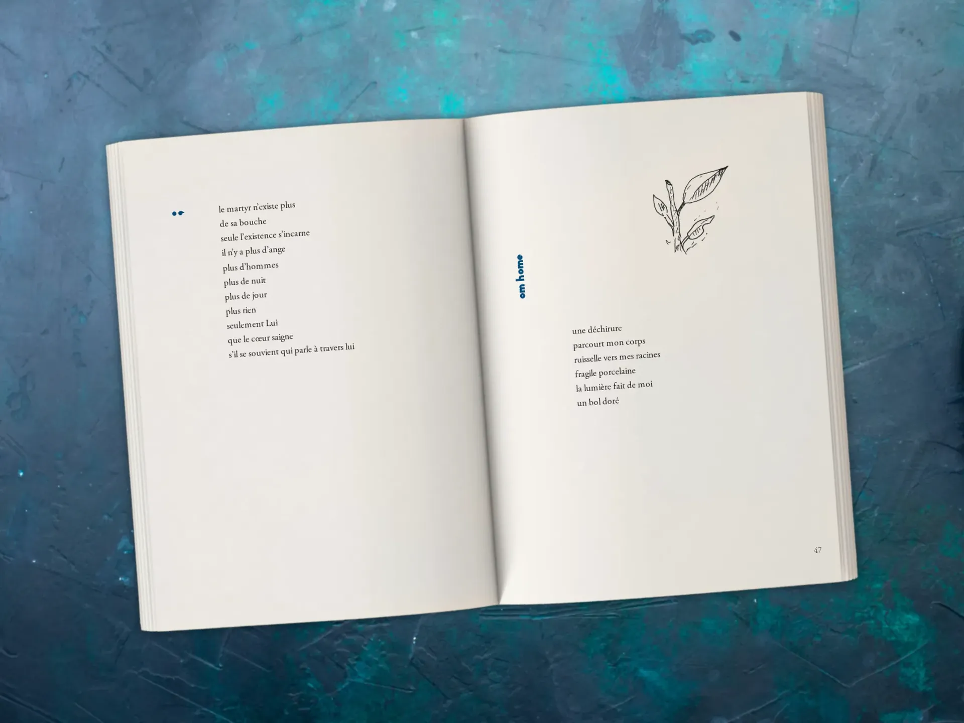 Cover of the book