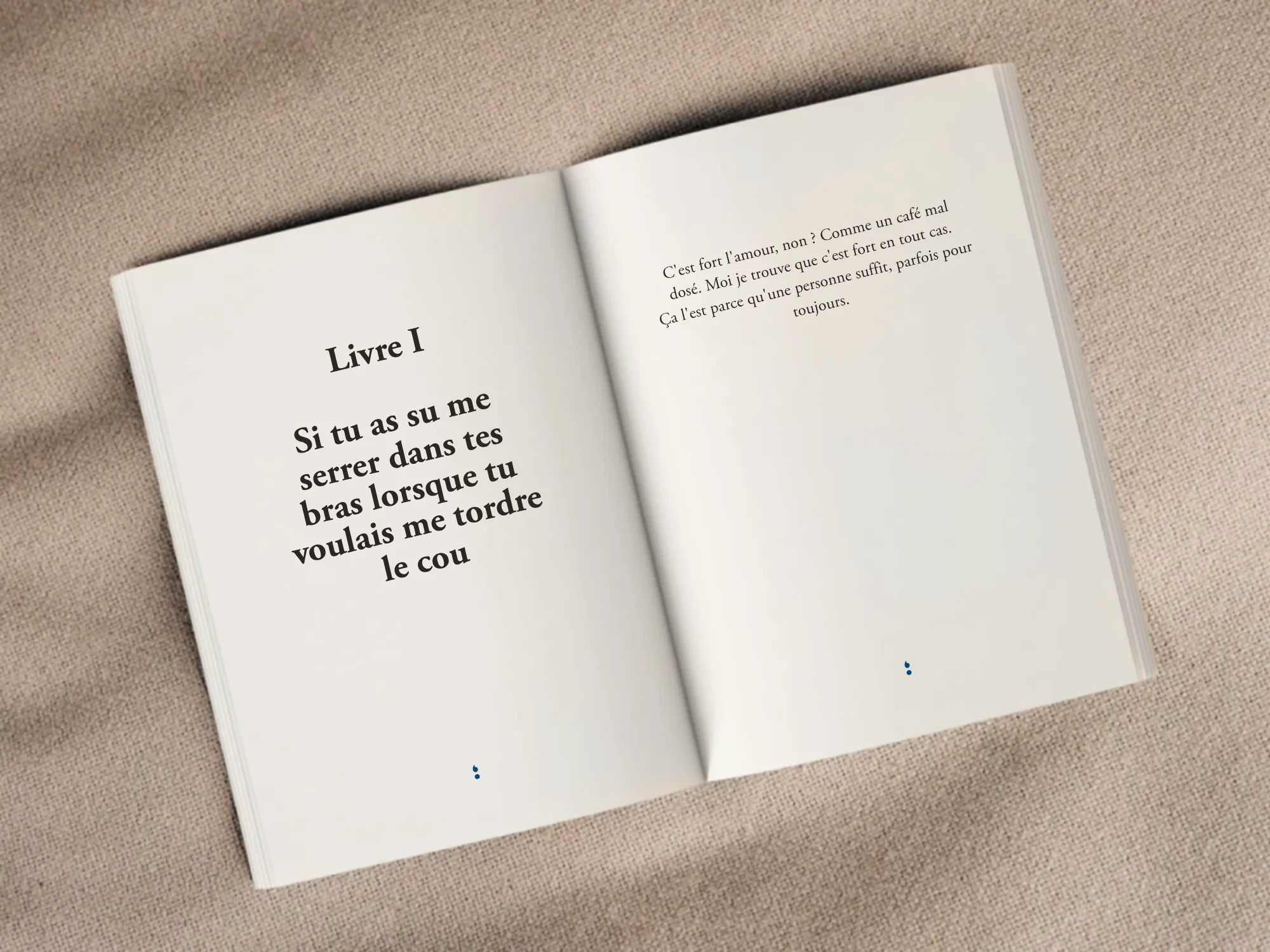 Cover of the book