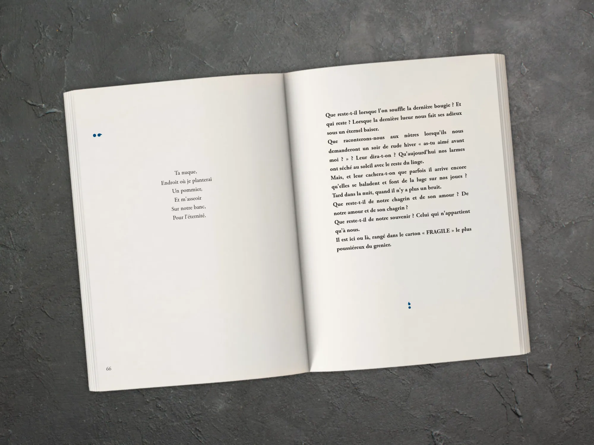 Cover of the book