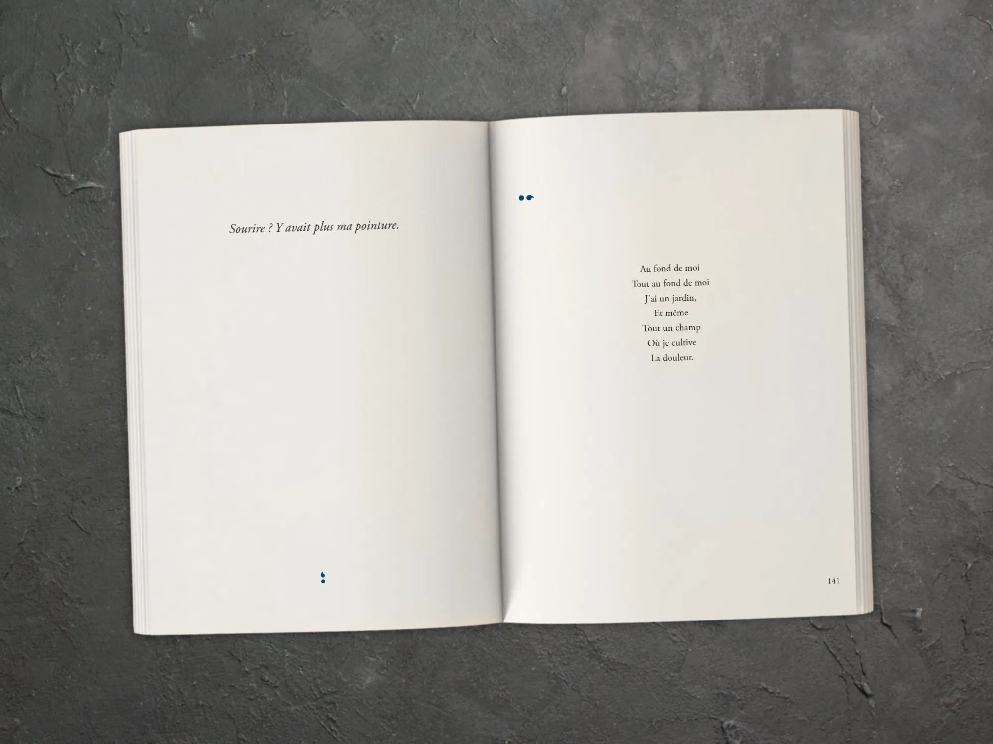Cover of the book
