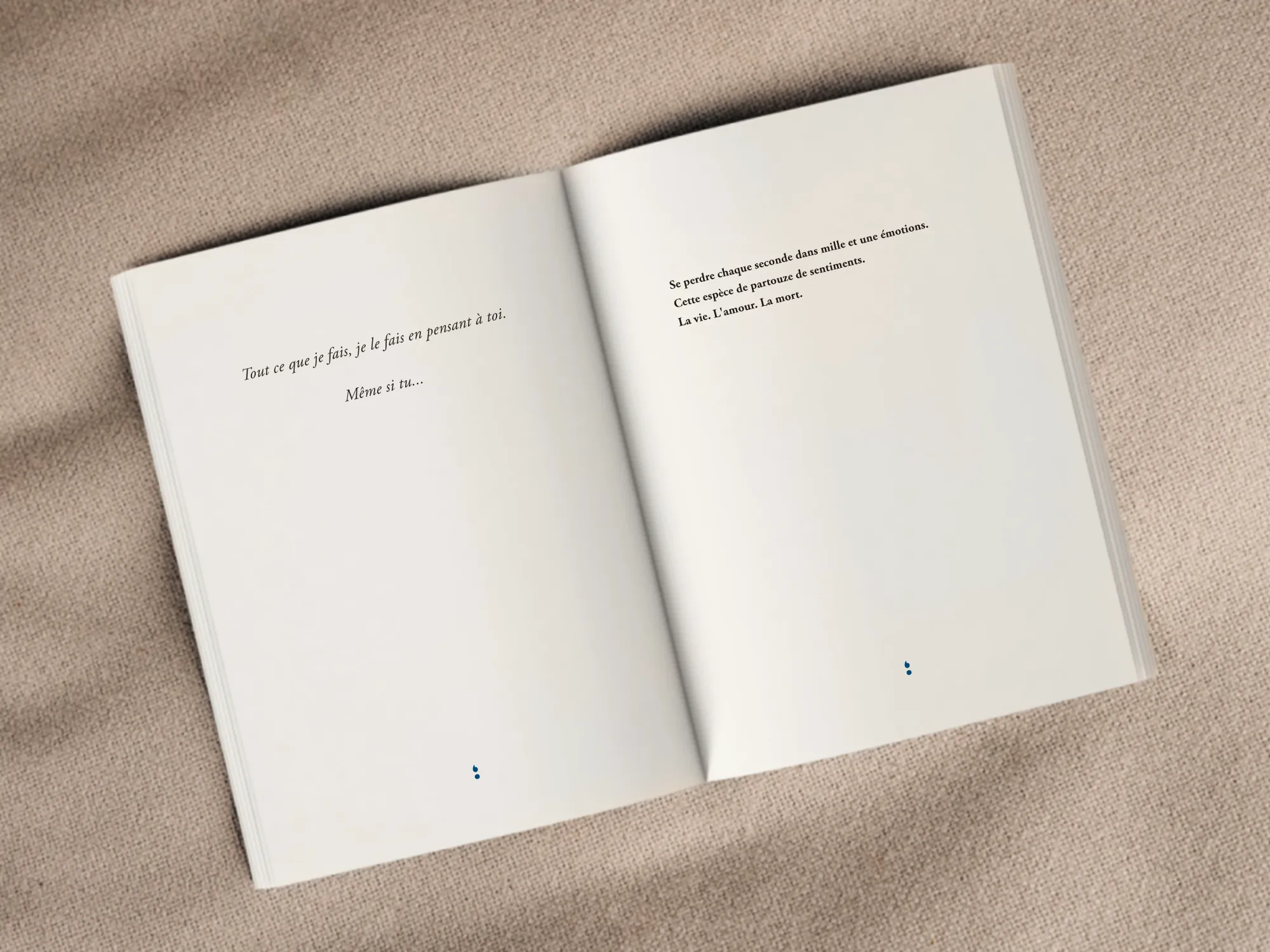 Cover of the book
