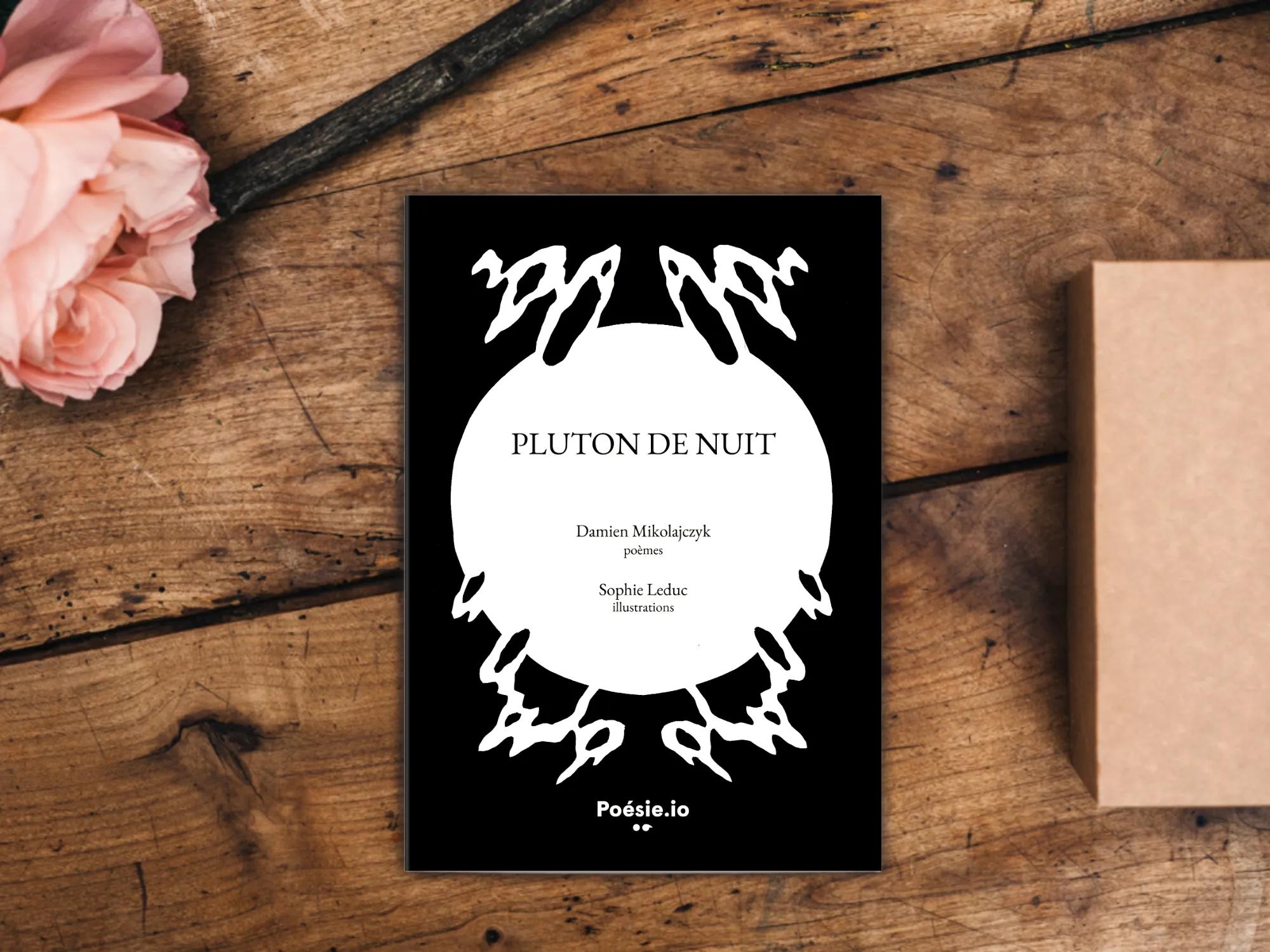 Cover of the book