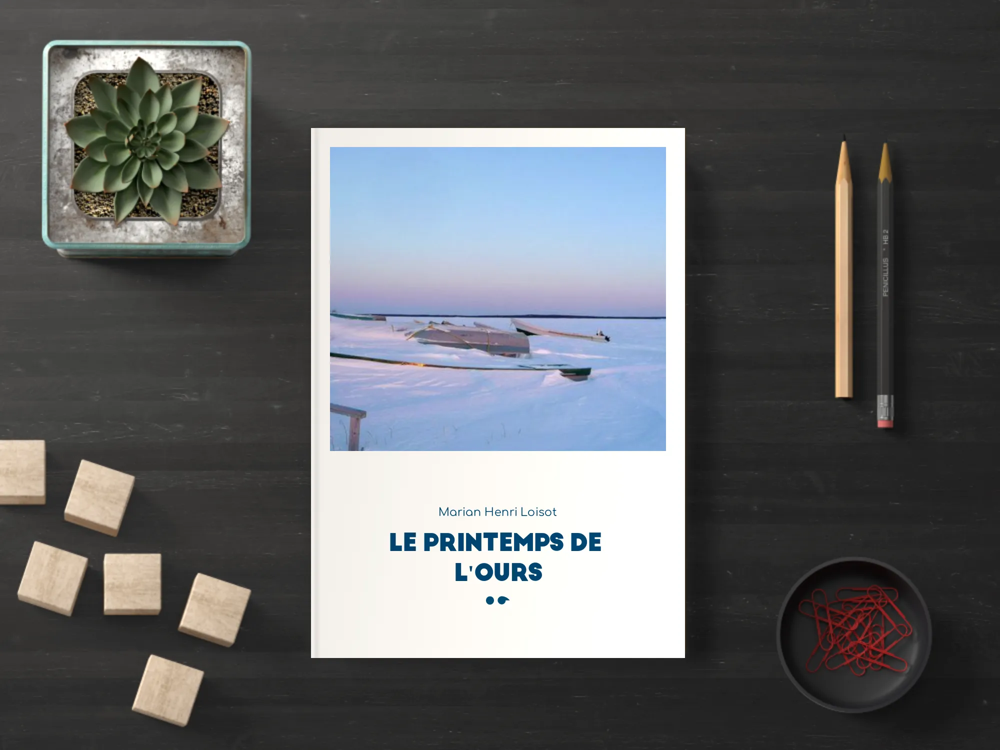 Cover of the book