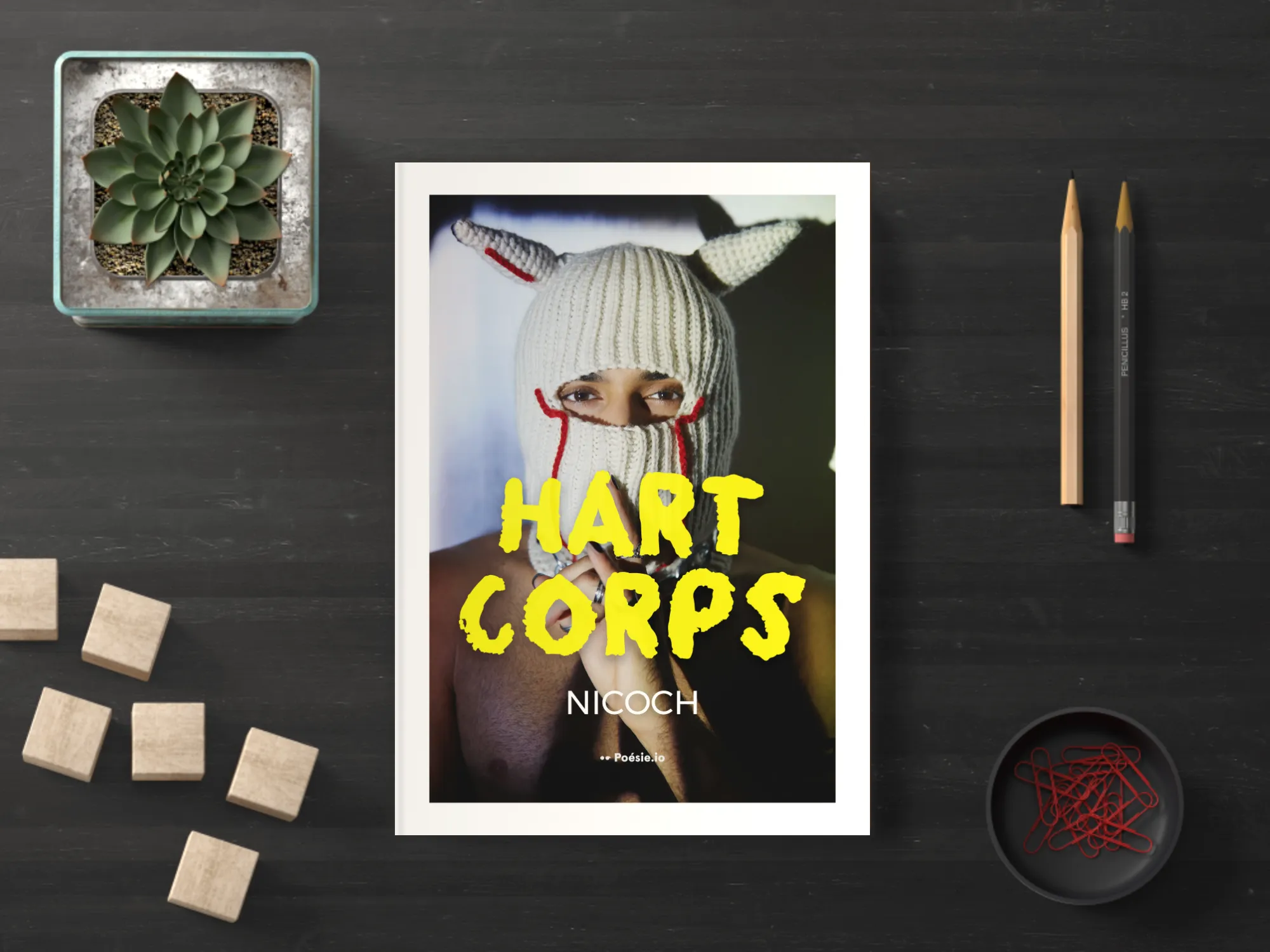 Cover of the book