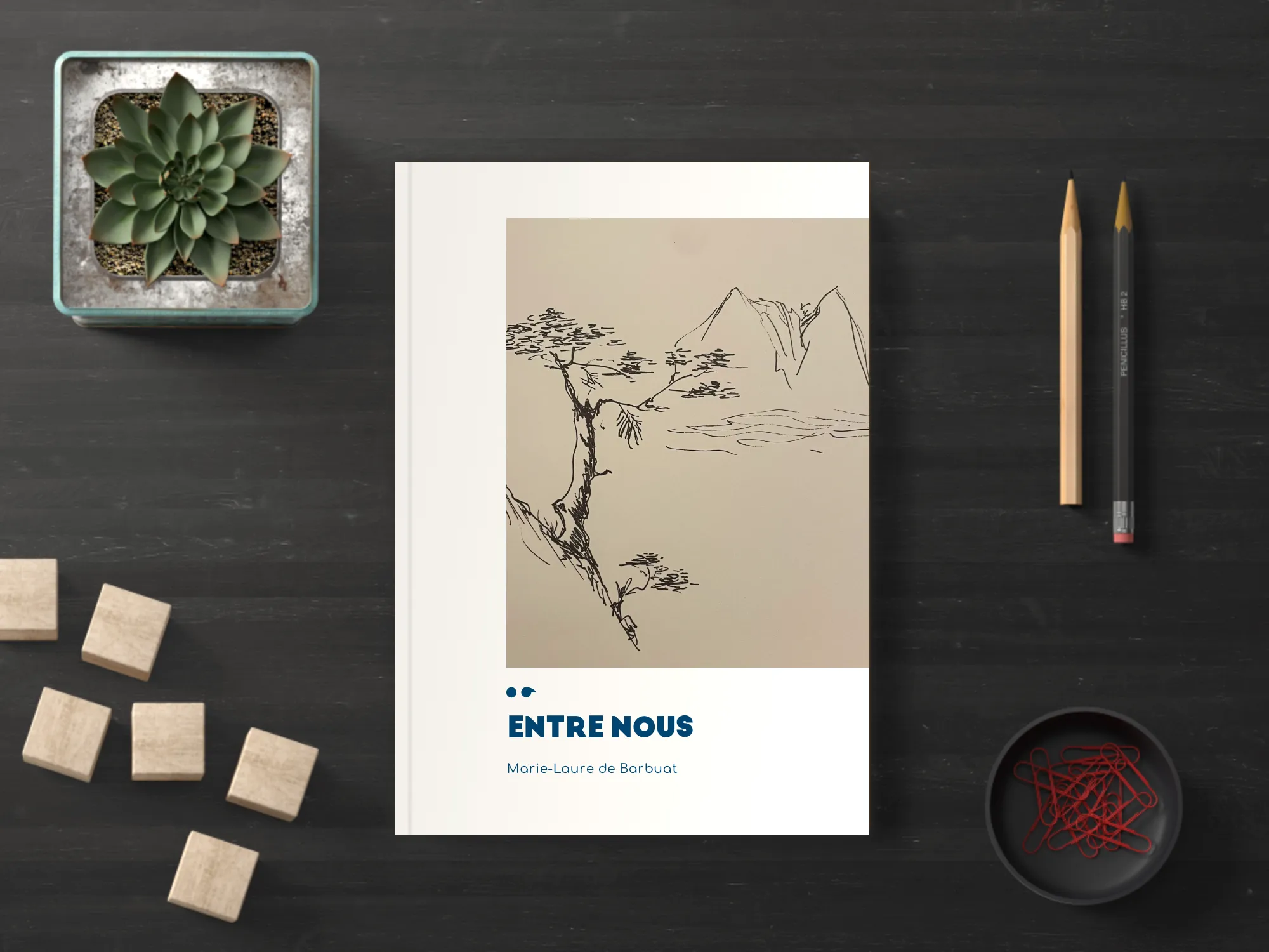 Cover of the book