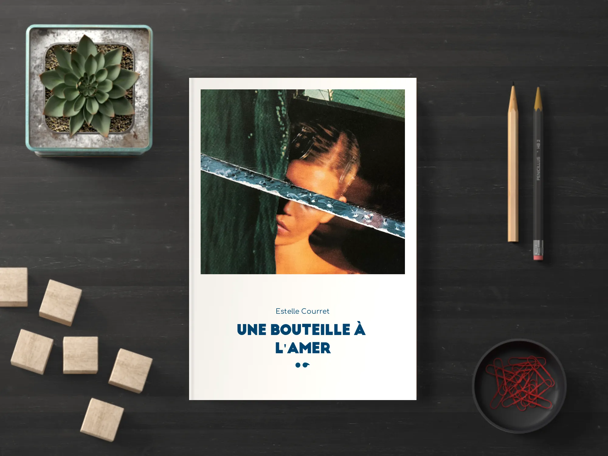 Cover of the book