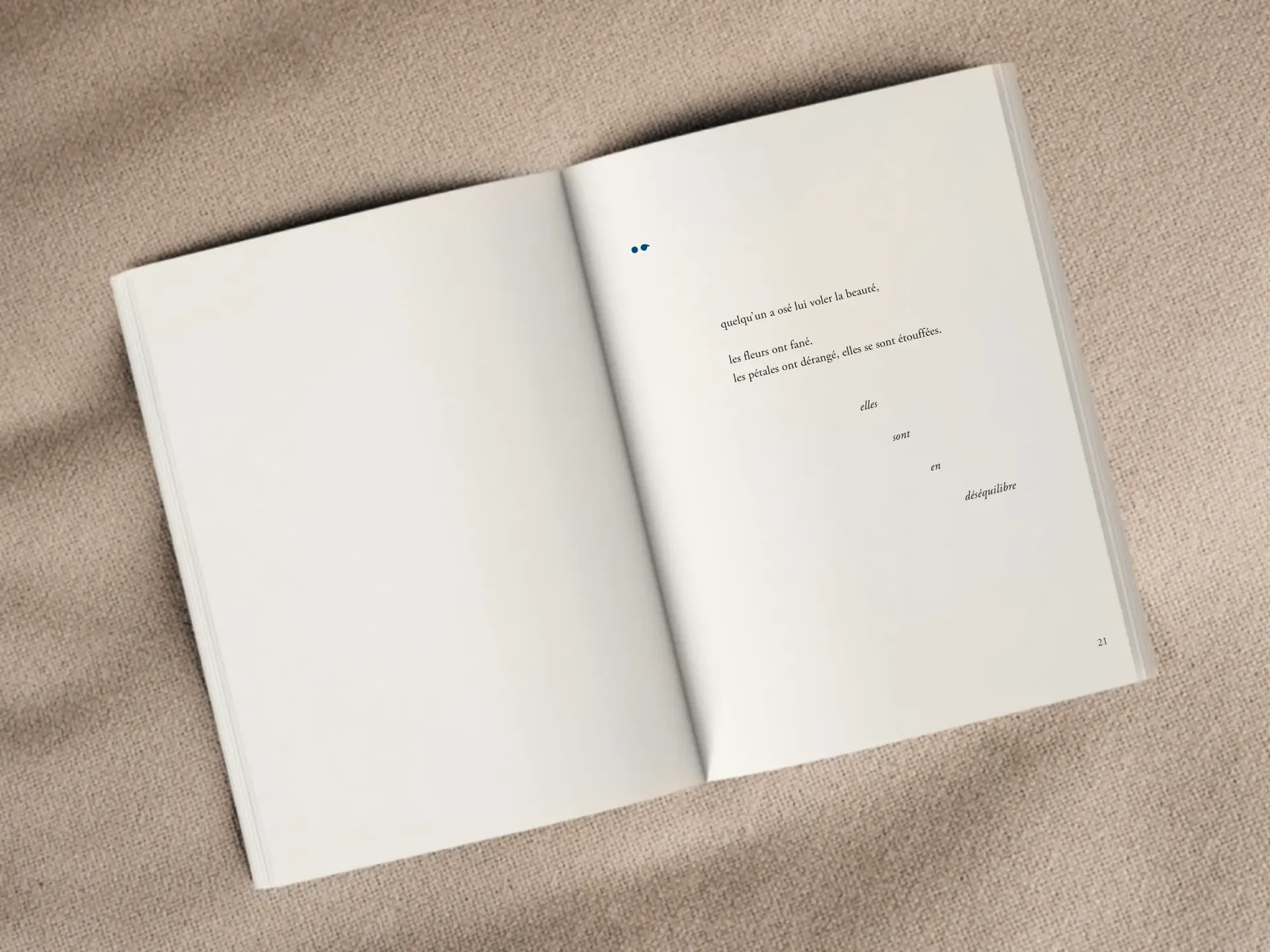 Cover of the book