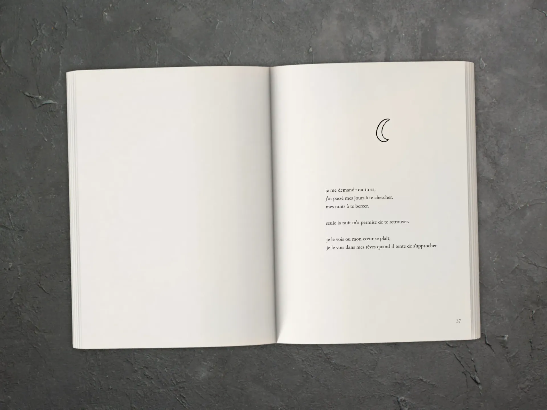 Cover of the book