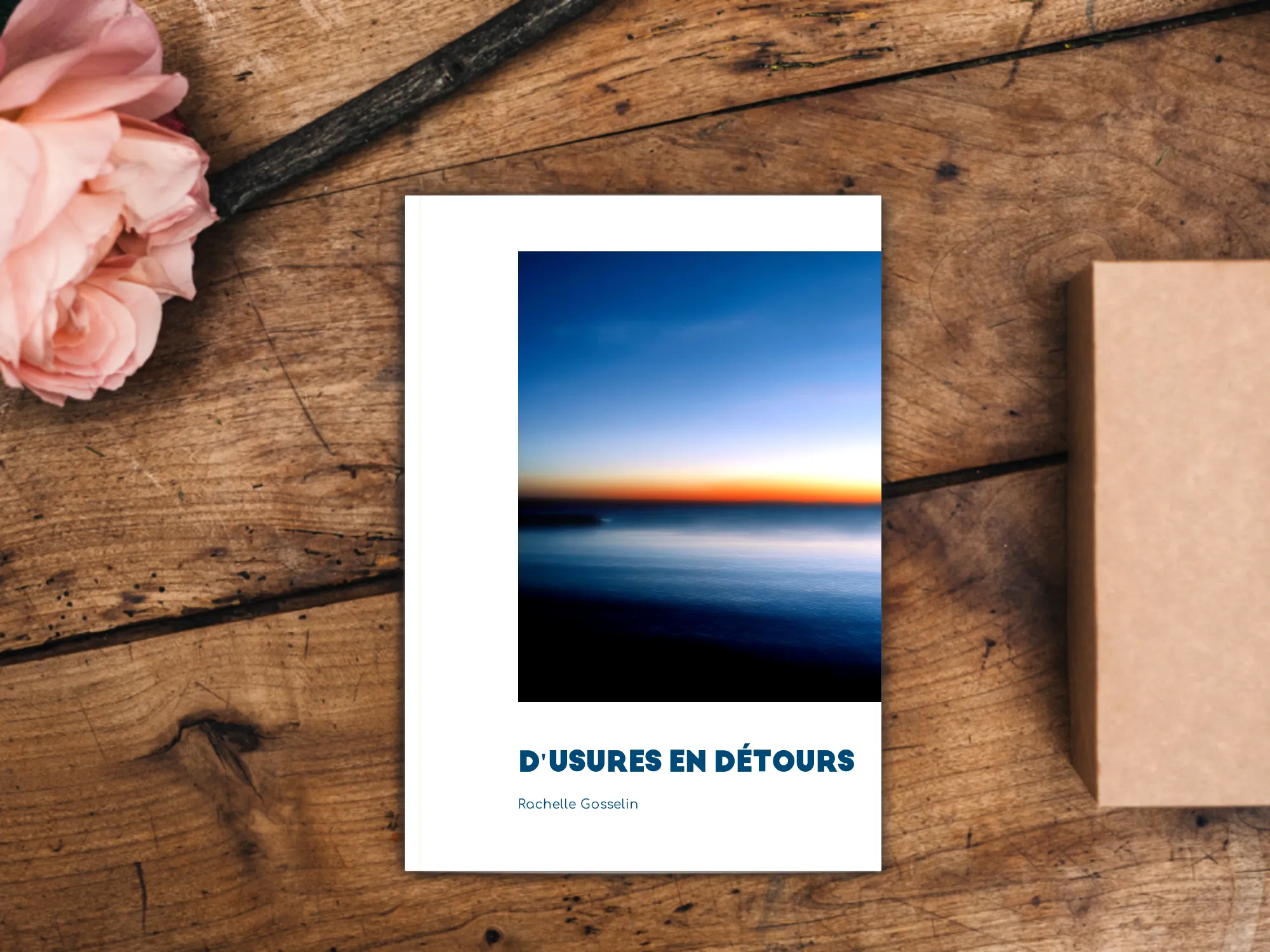 Cover of the book
