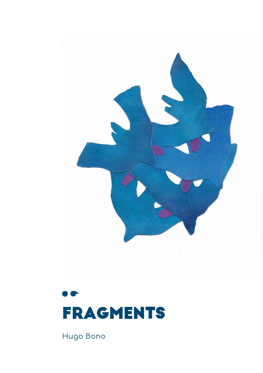 Cover of Fragments