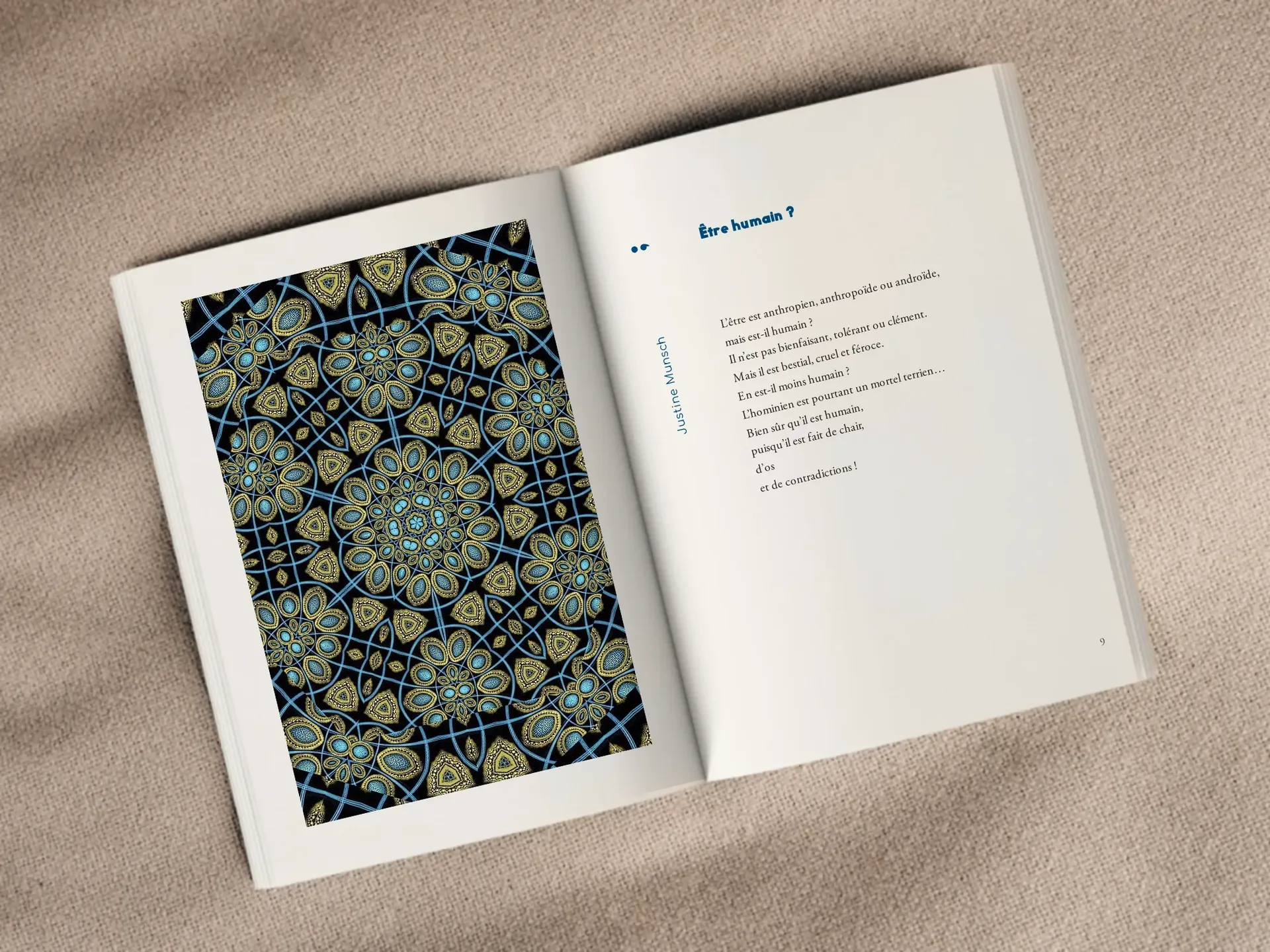 Cover of the book