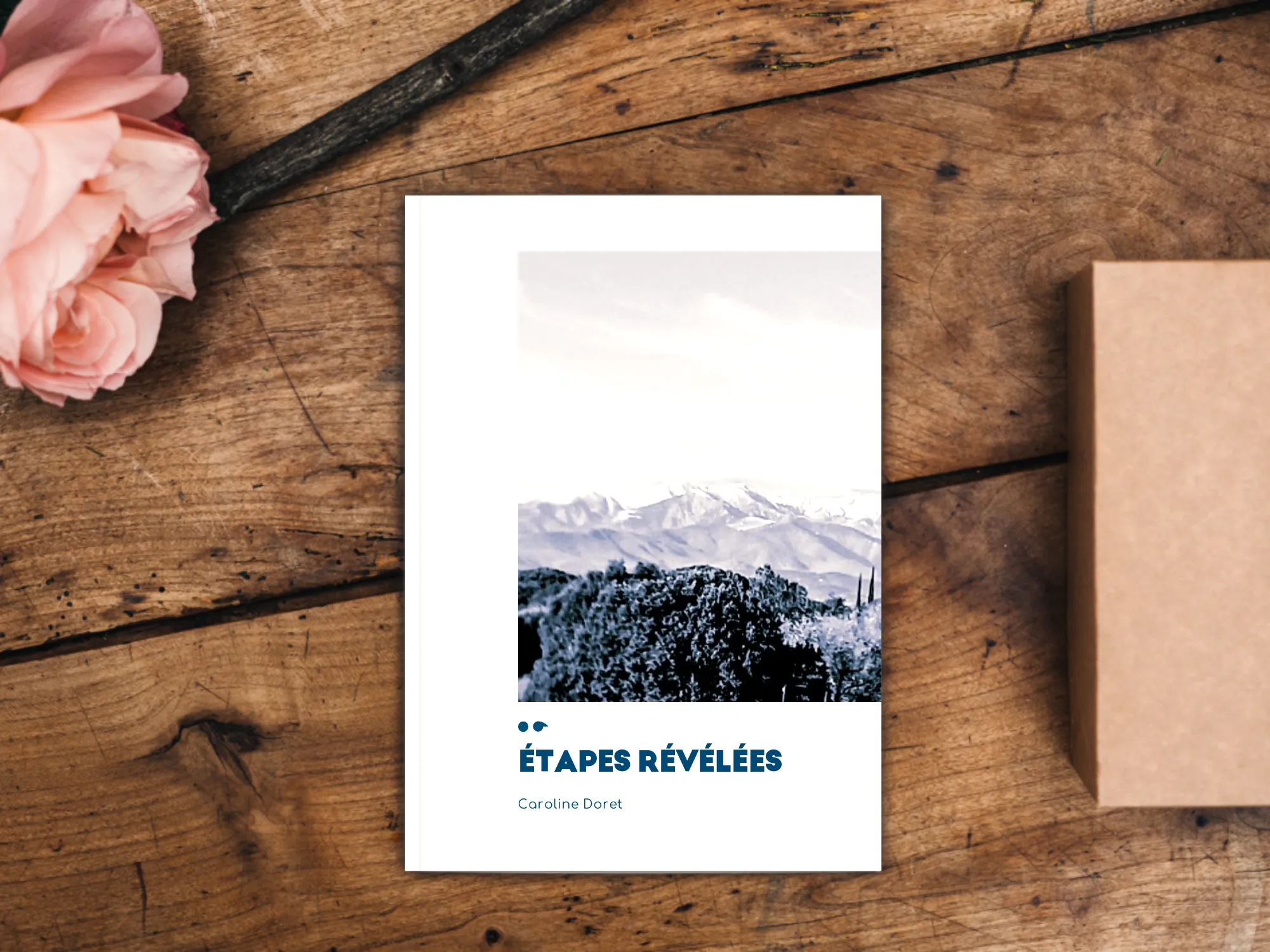 Cover of the book