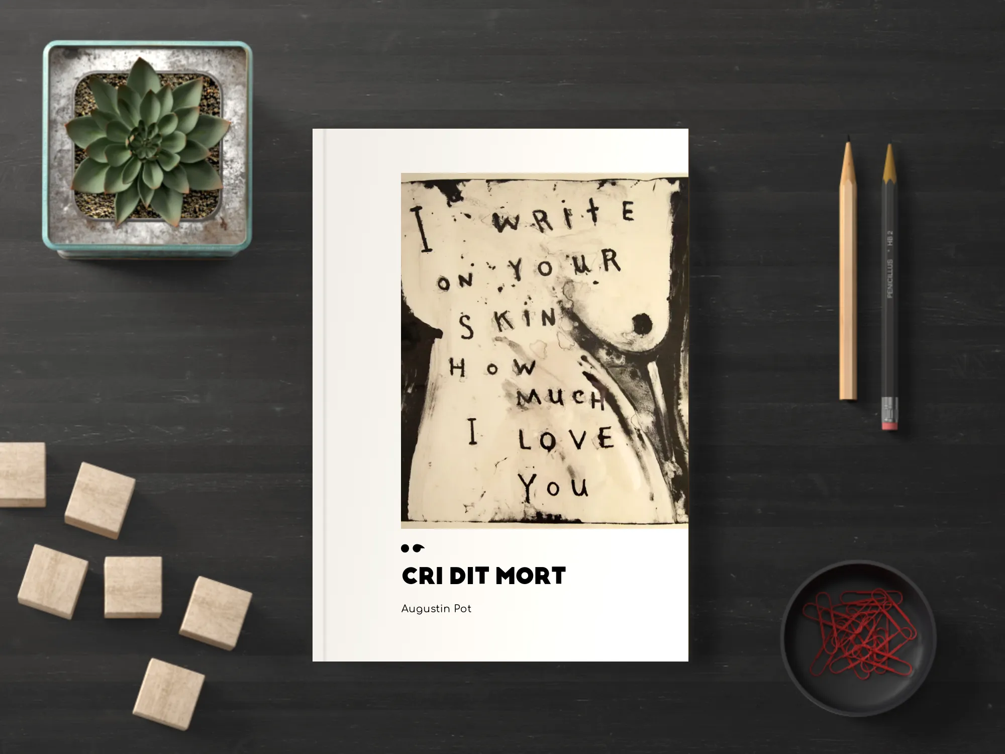 Cover of the book