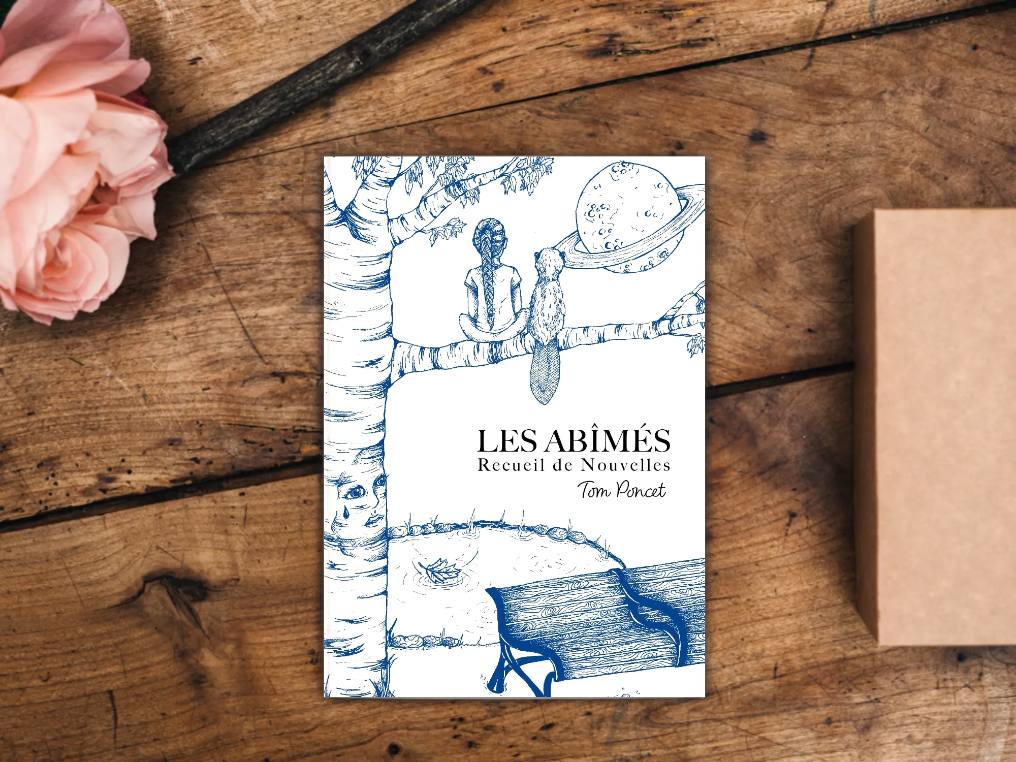 Cover of the book