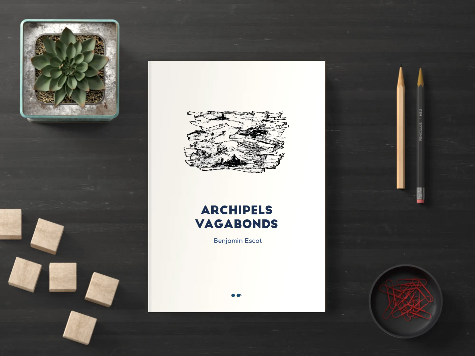 Cover of the book