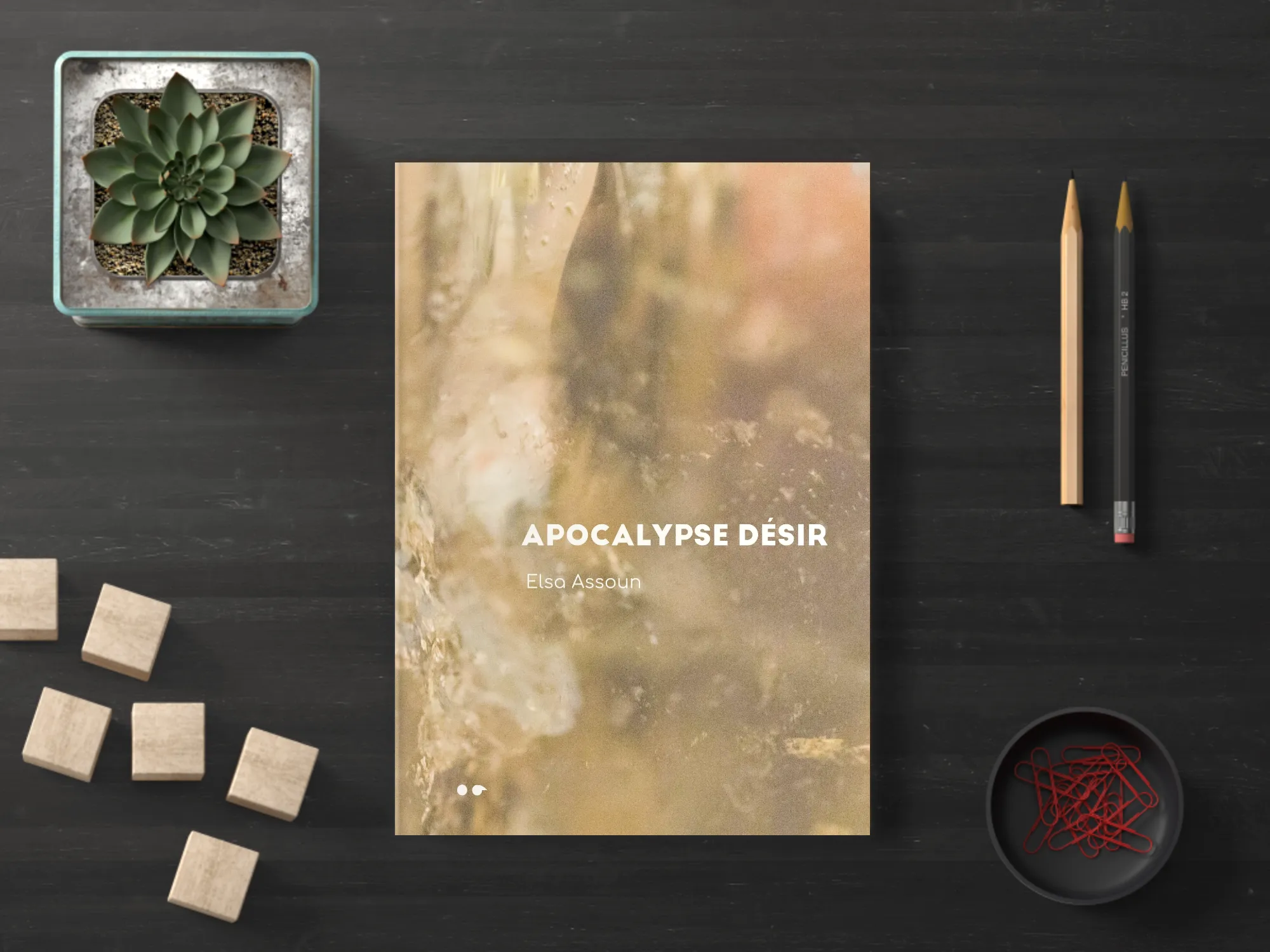 Cover of the book