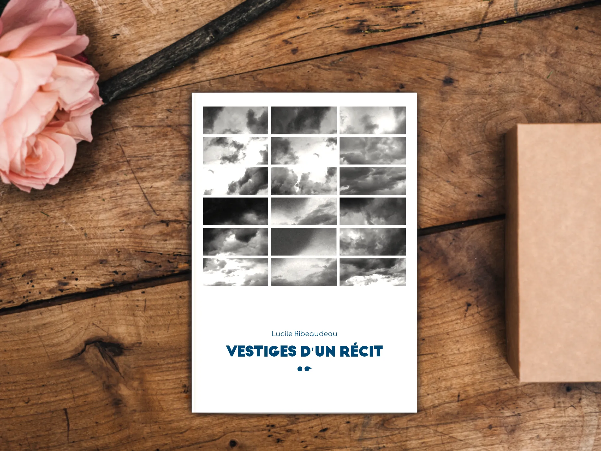 Cover of the book