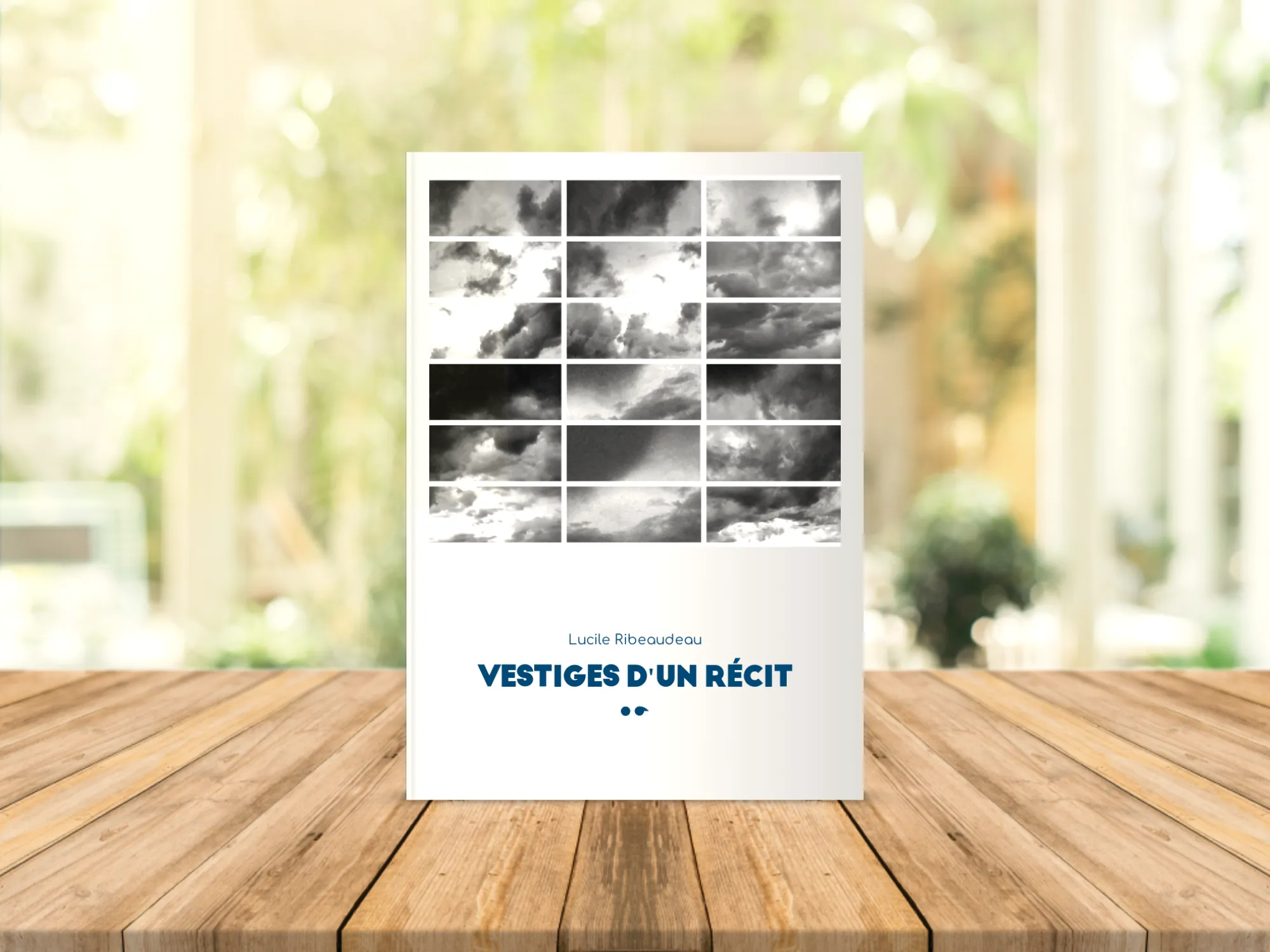 Cover of the book