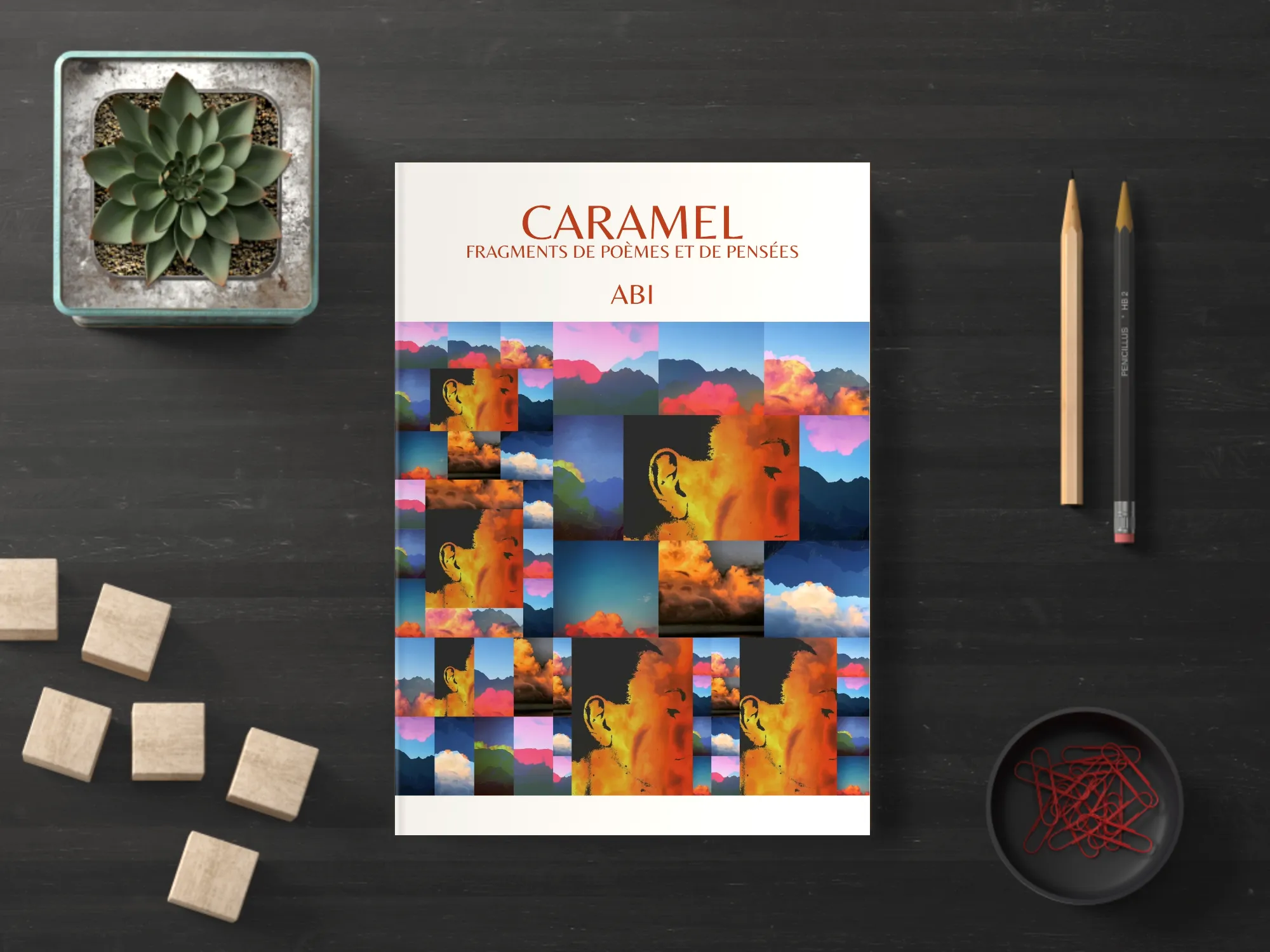 Cover of the book