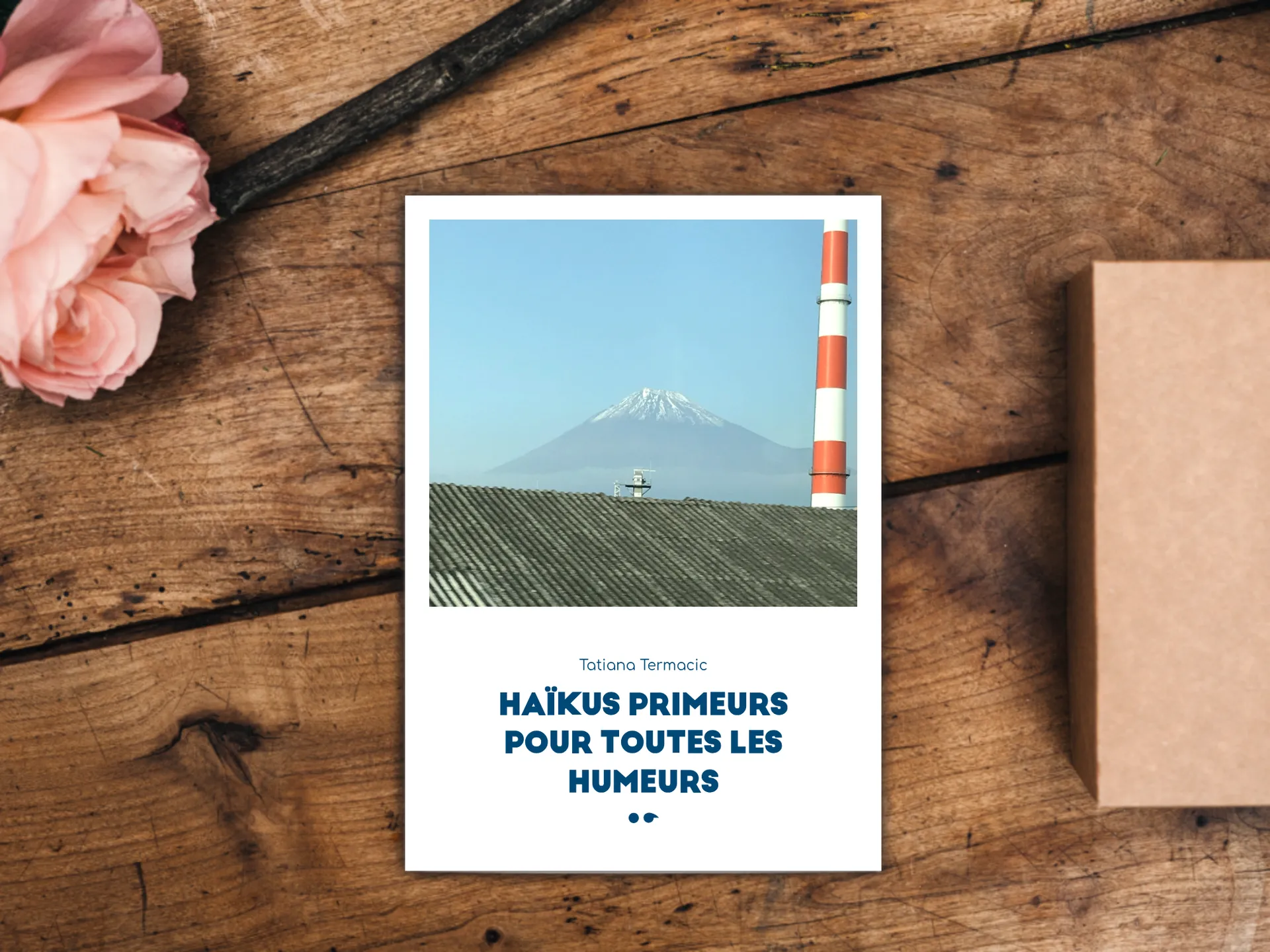 Cover of the book