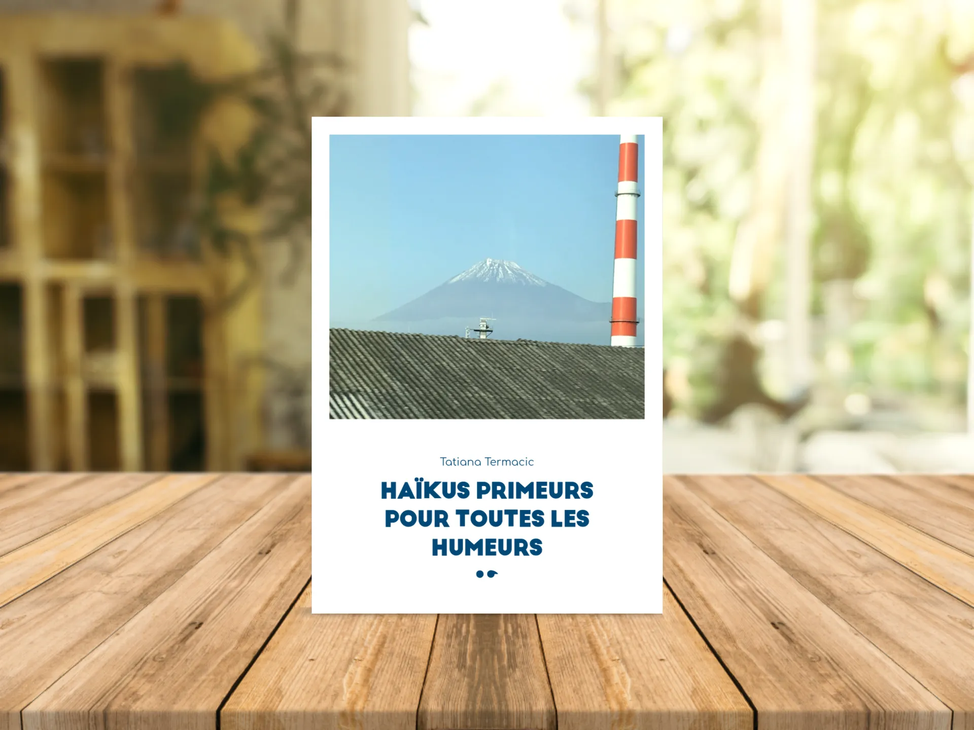 Cover of the book