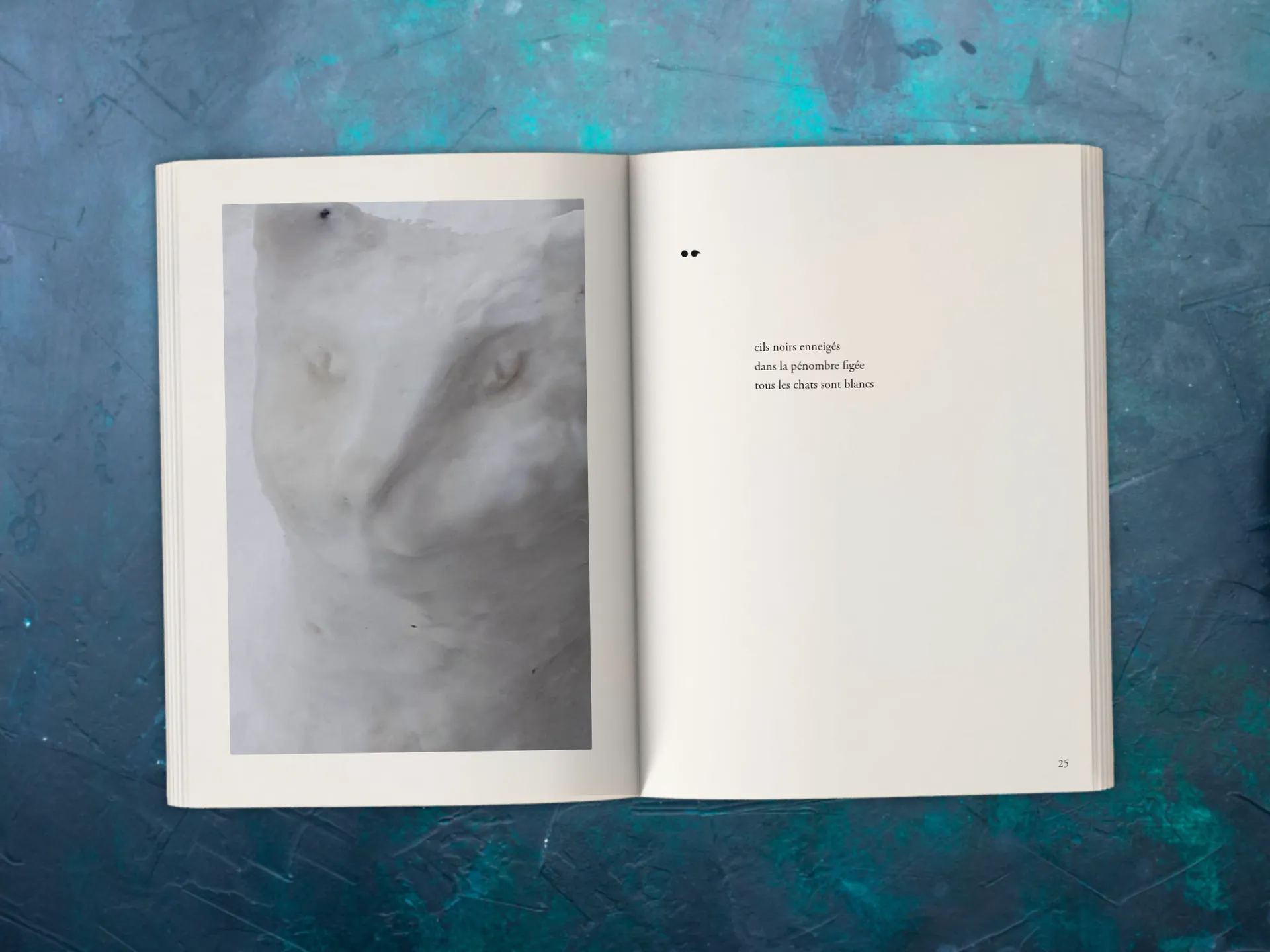 Cover of the book