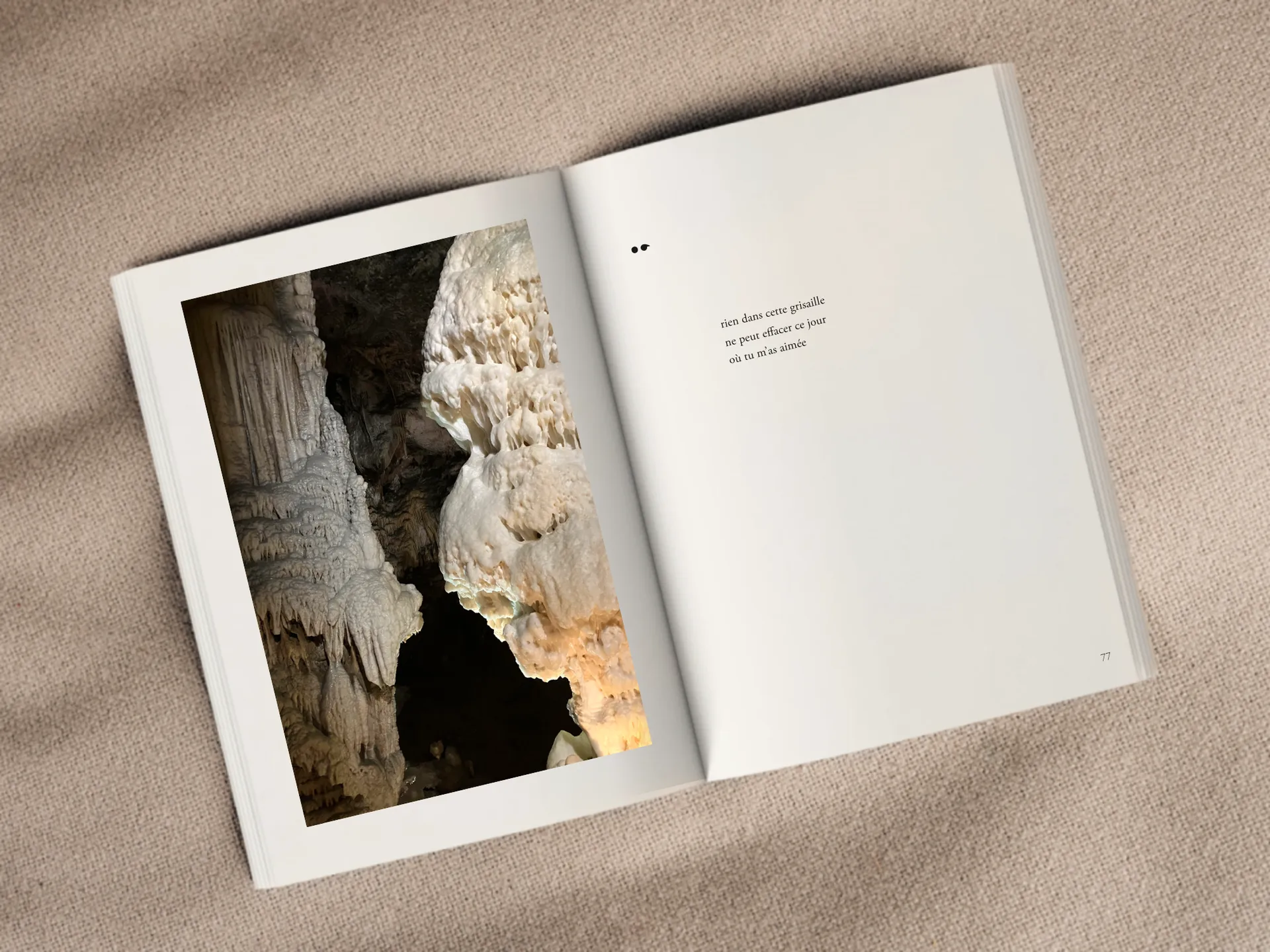 Cover of the book