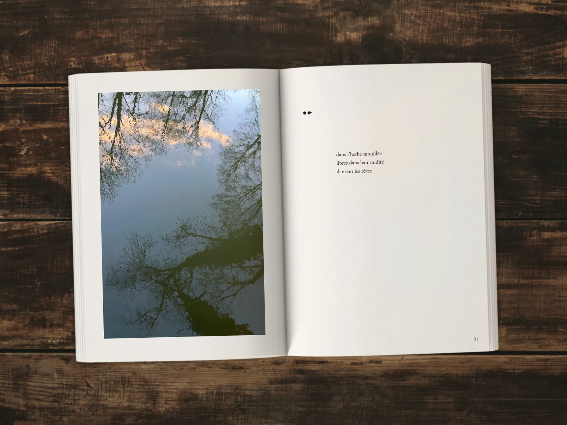 Cover of the book