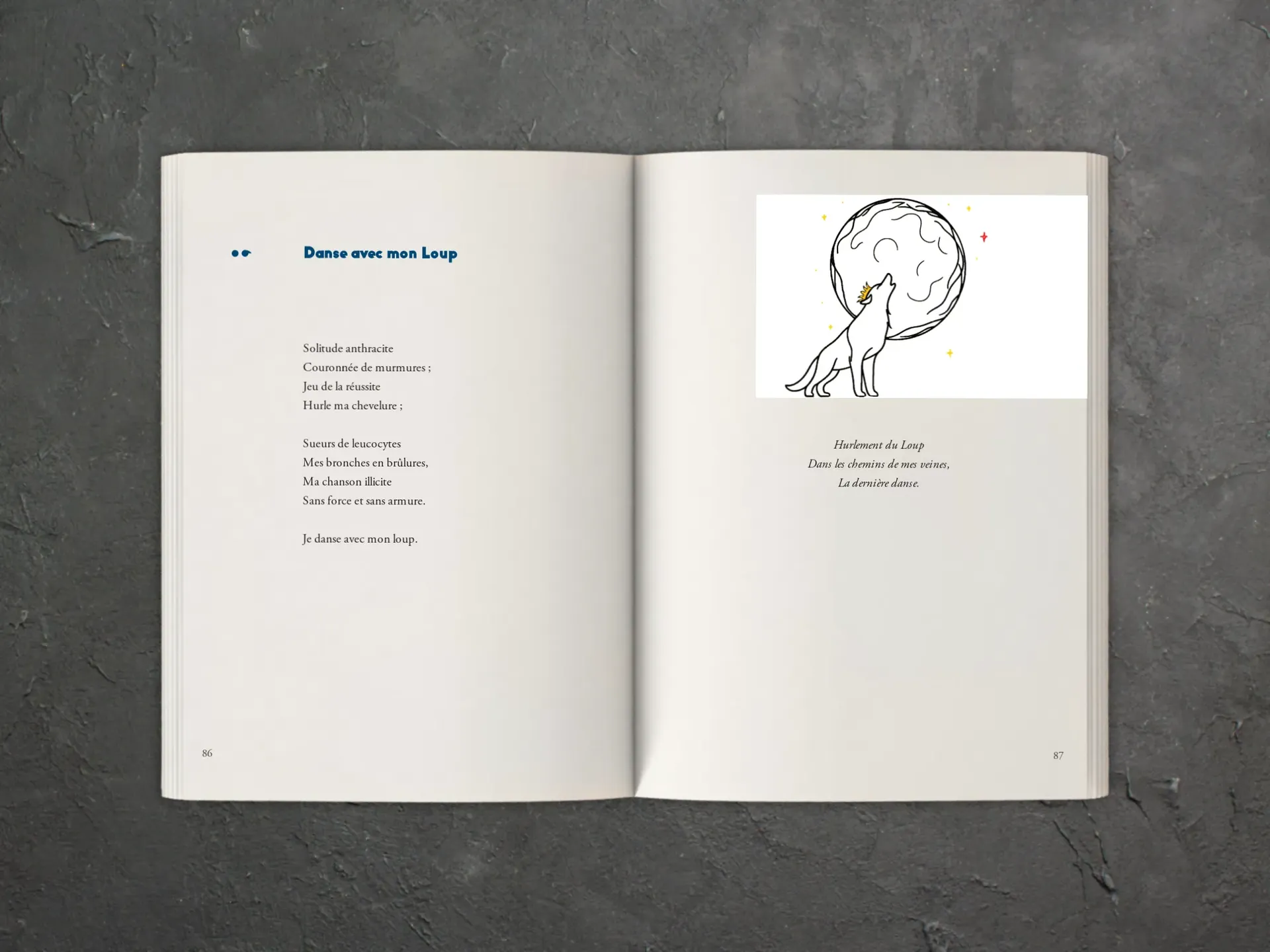 Cover of the book