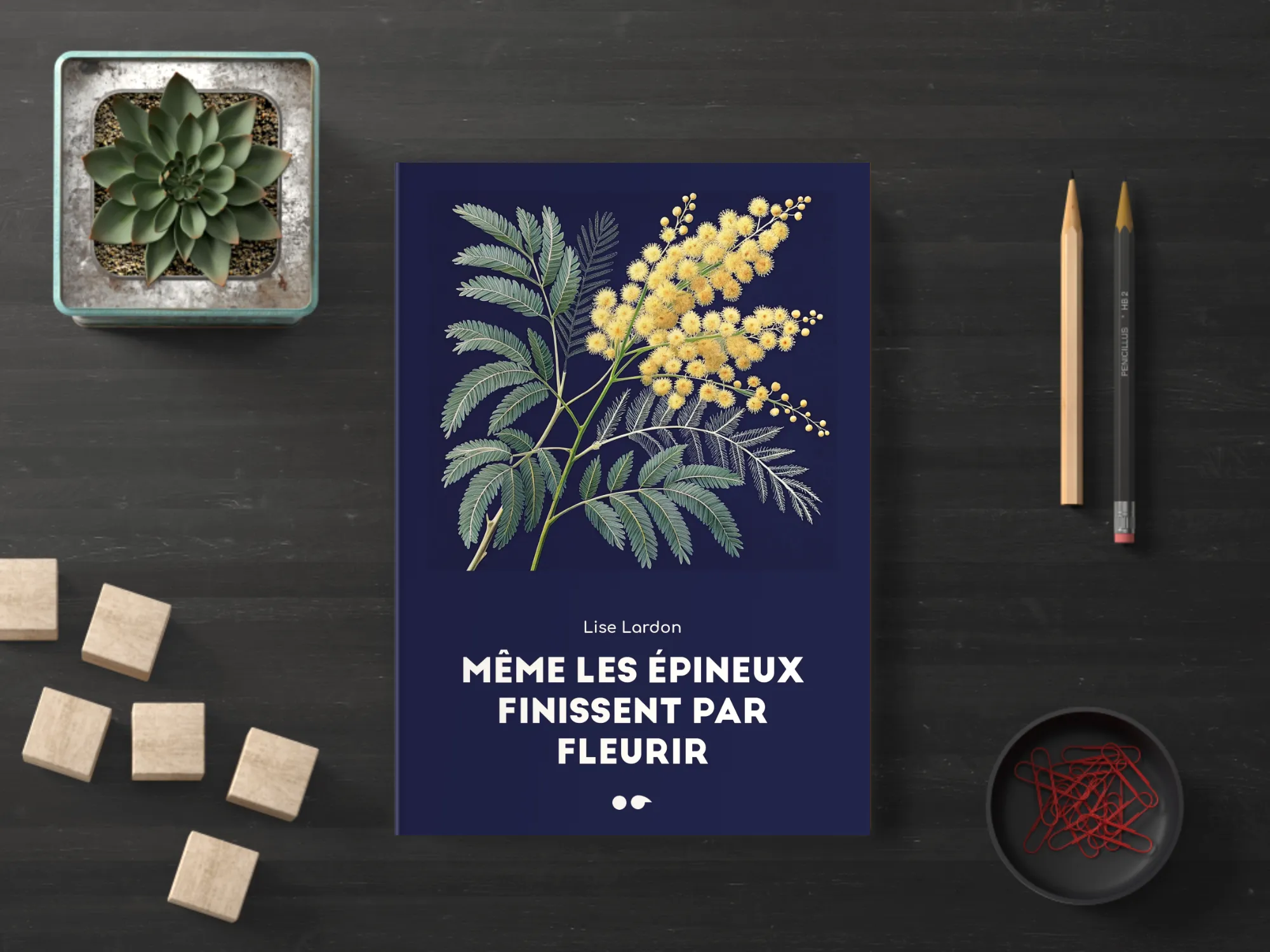 Cover of the book