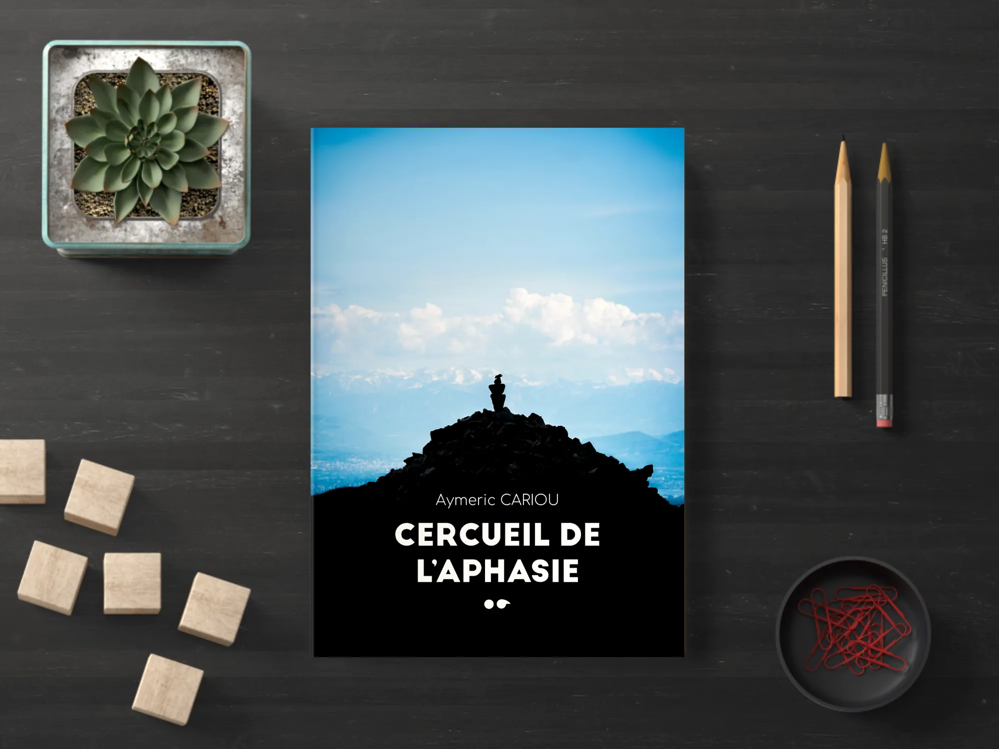 Cover of the book