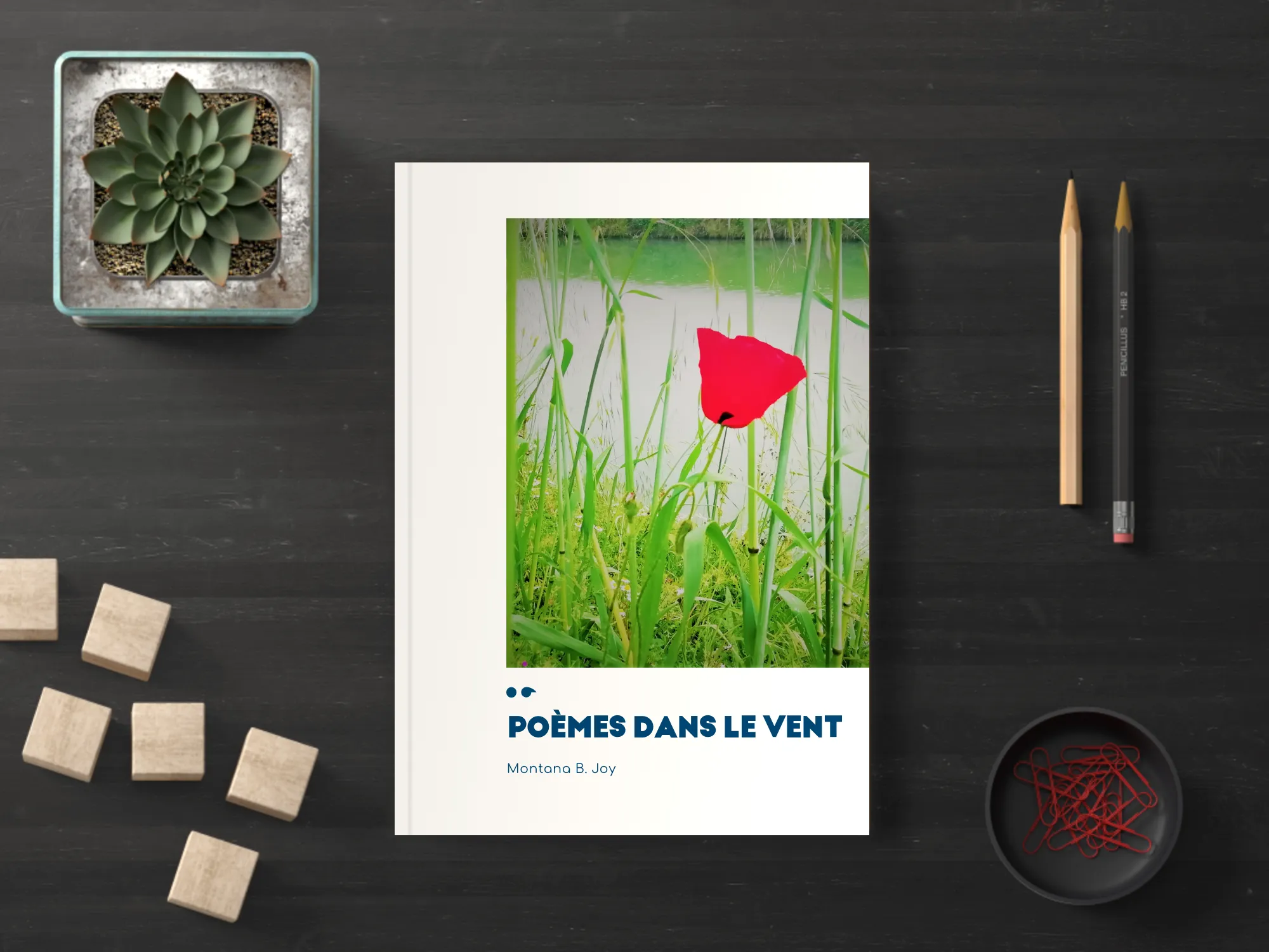 Cover of the book
