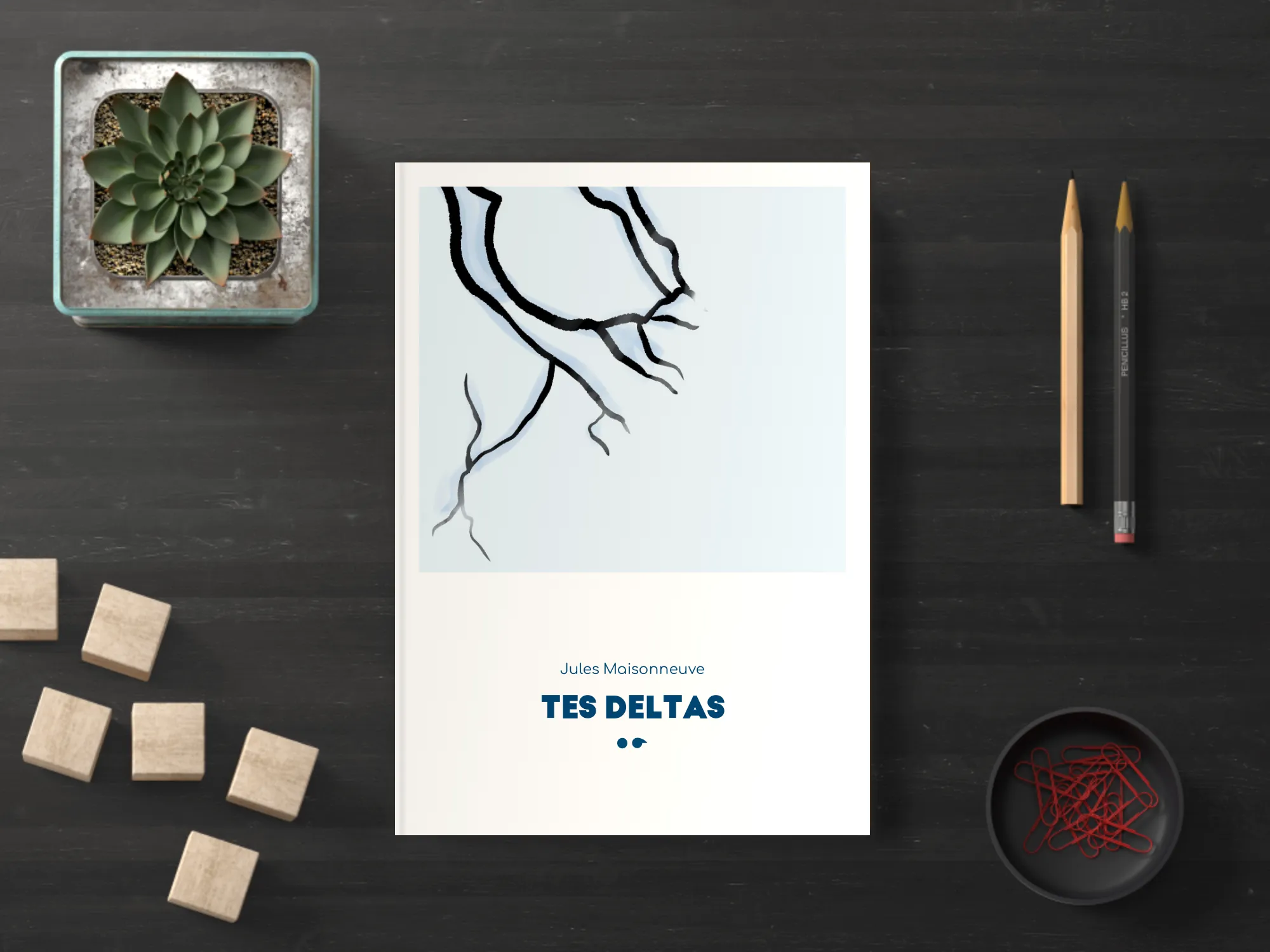 Cover of the book