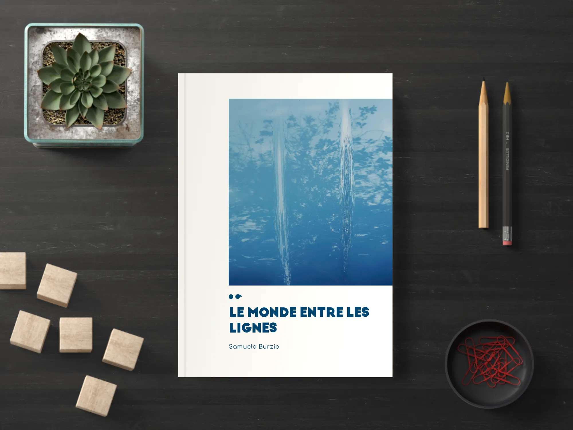 Cover of the book
