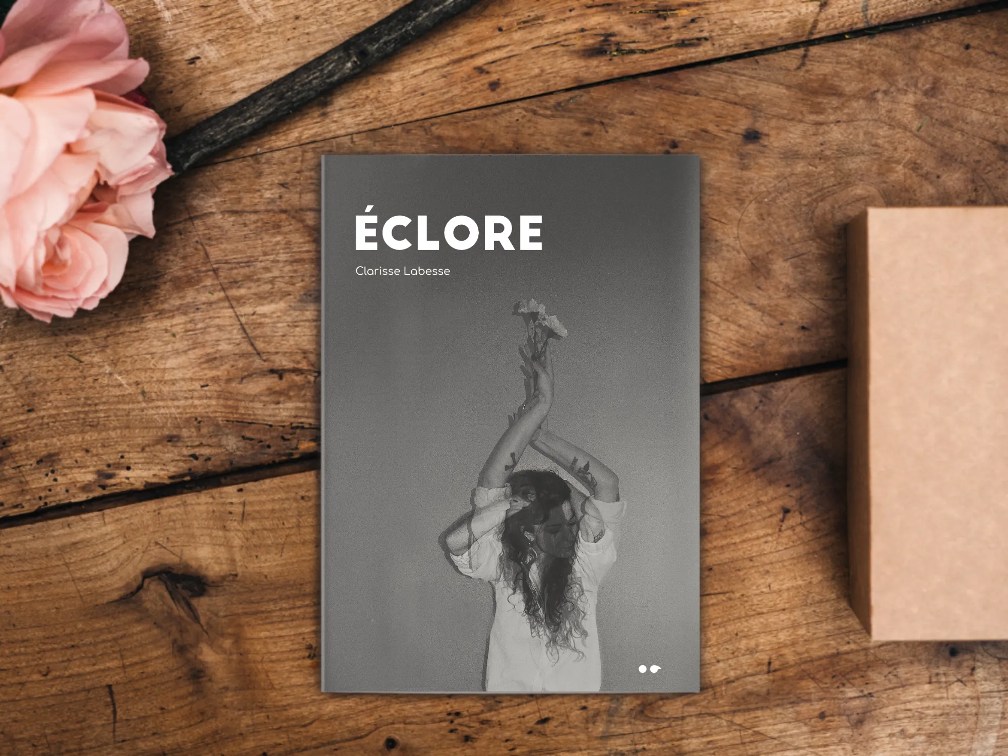 Cover of the book