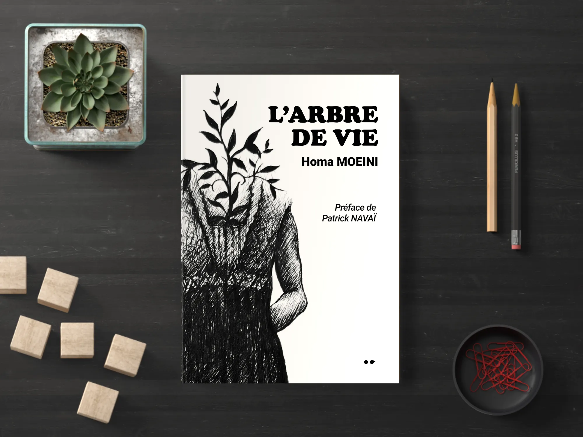 Cover of the book