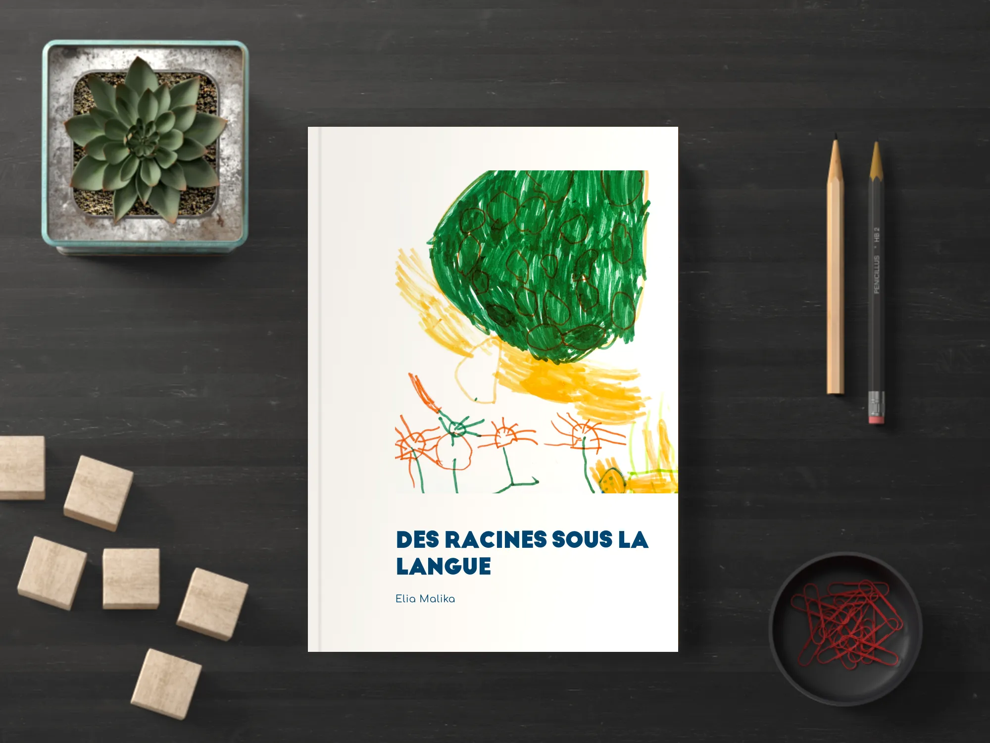 Cover of the book