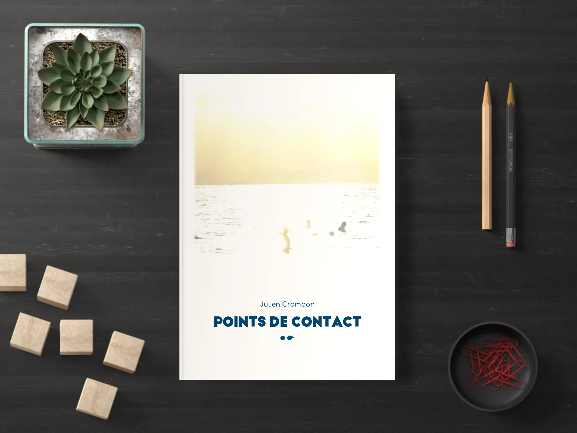 Cover of the book