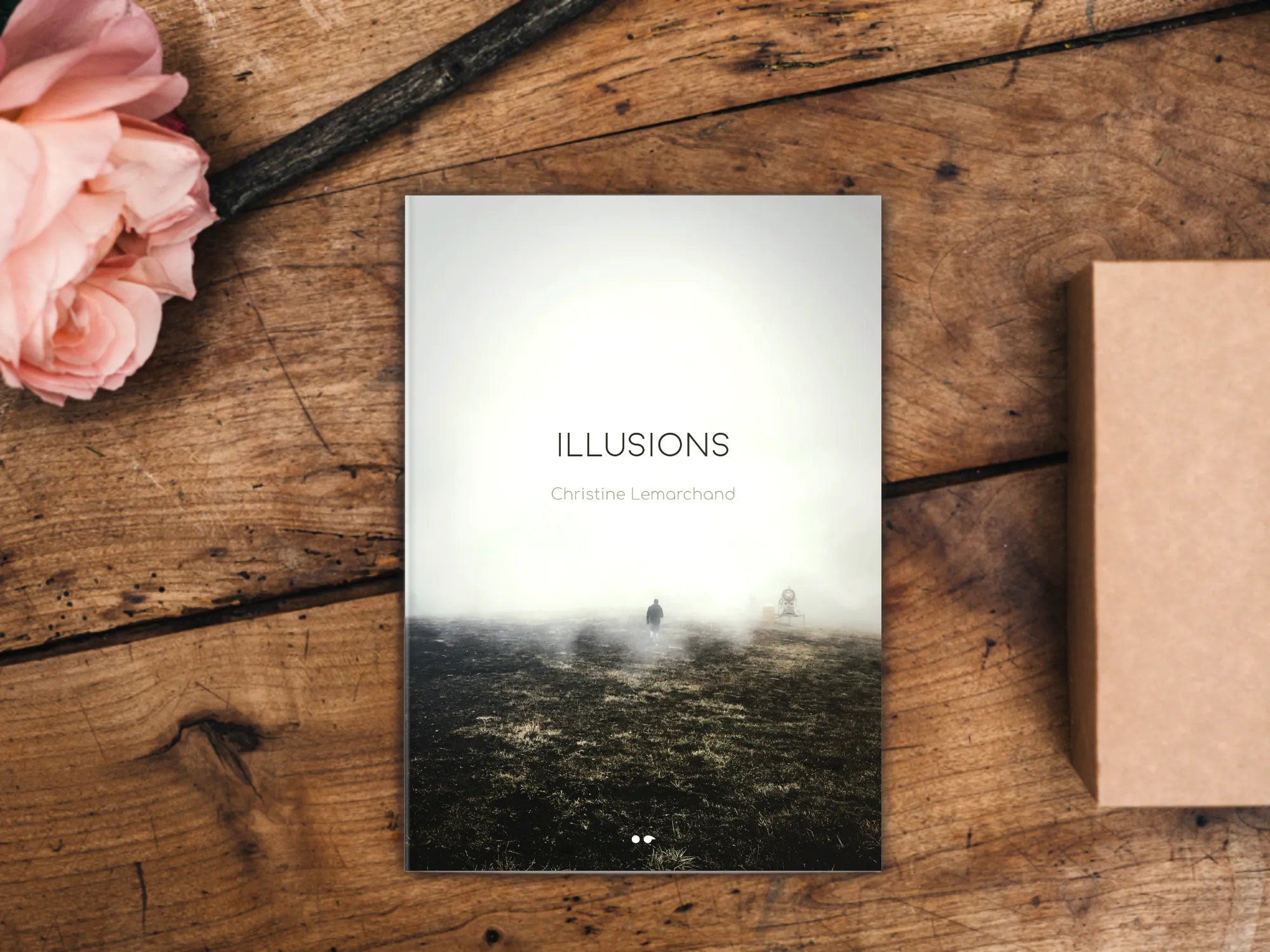 Cover of the book