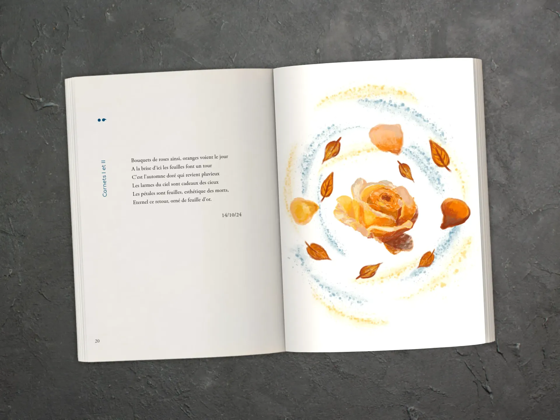 Cover of the book