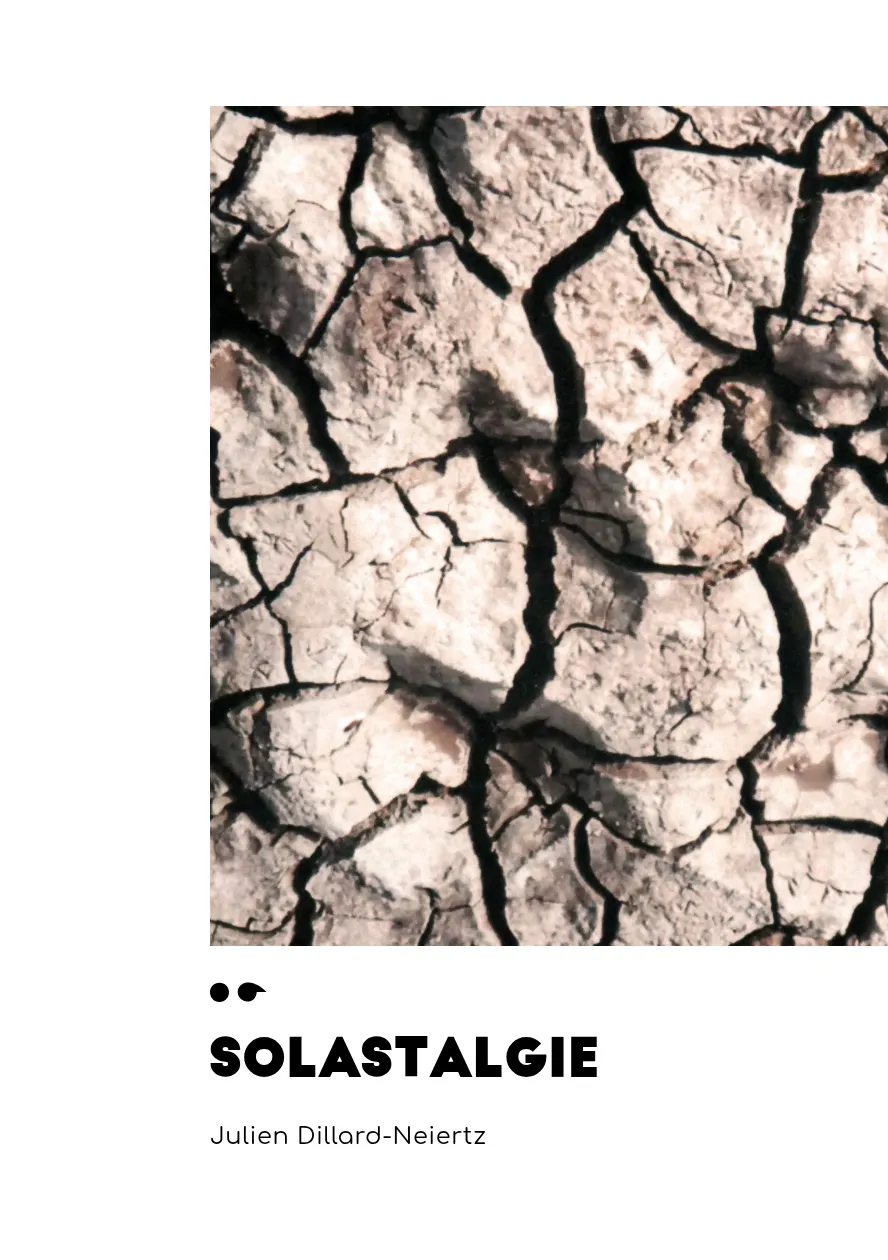 Cover of Solastalgie